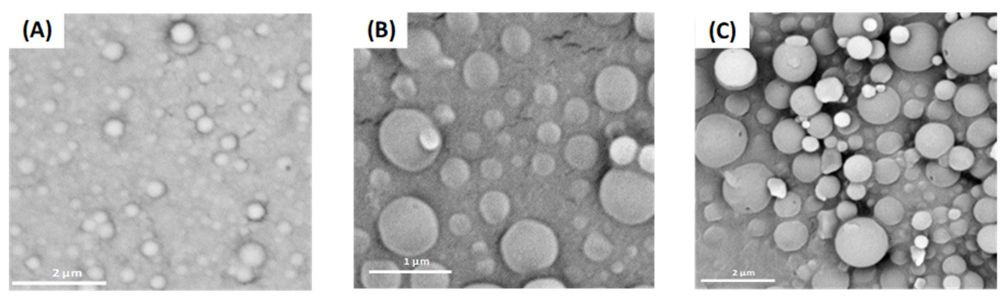 Engproc 11 00010 g002