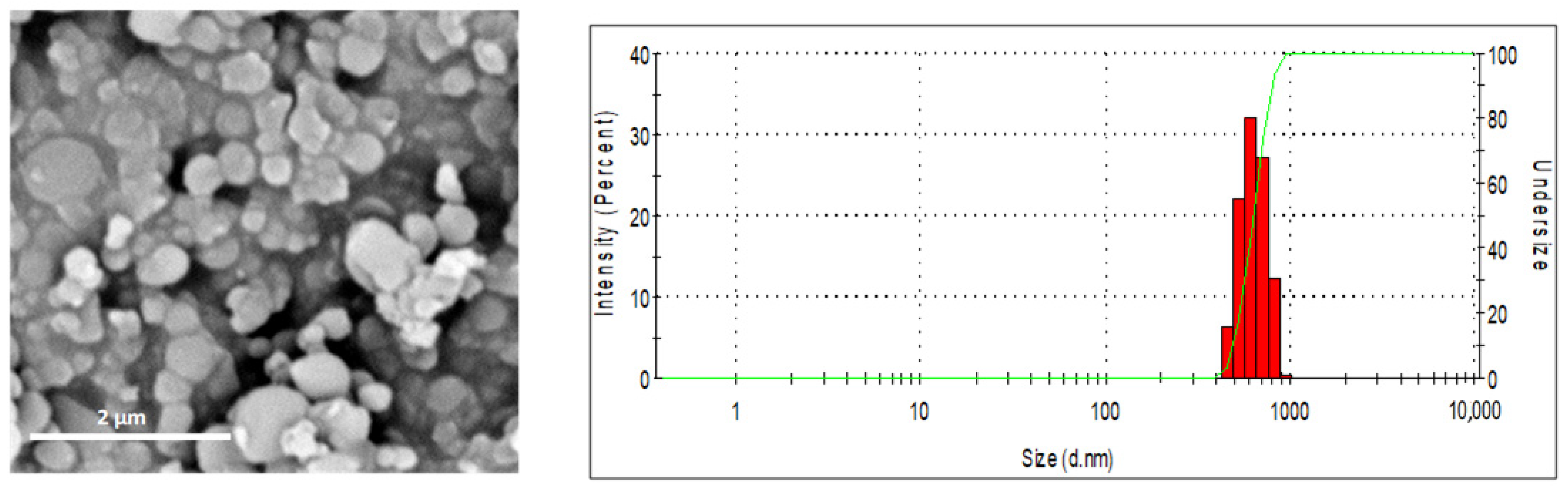 Engproc 11 00010 g003