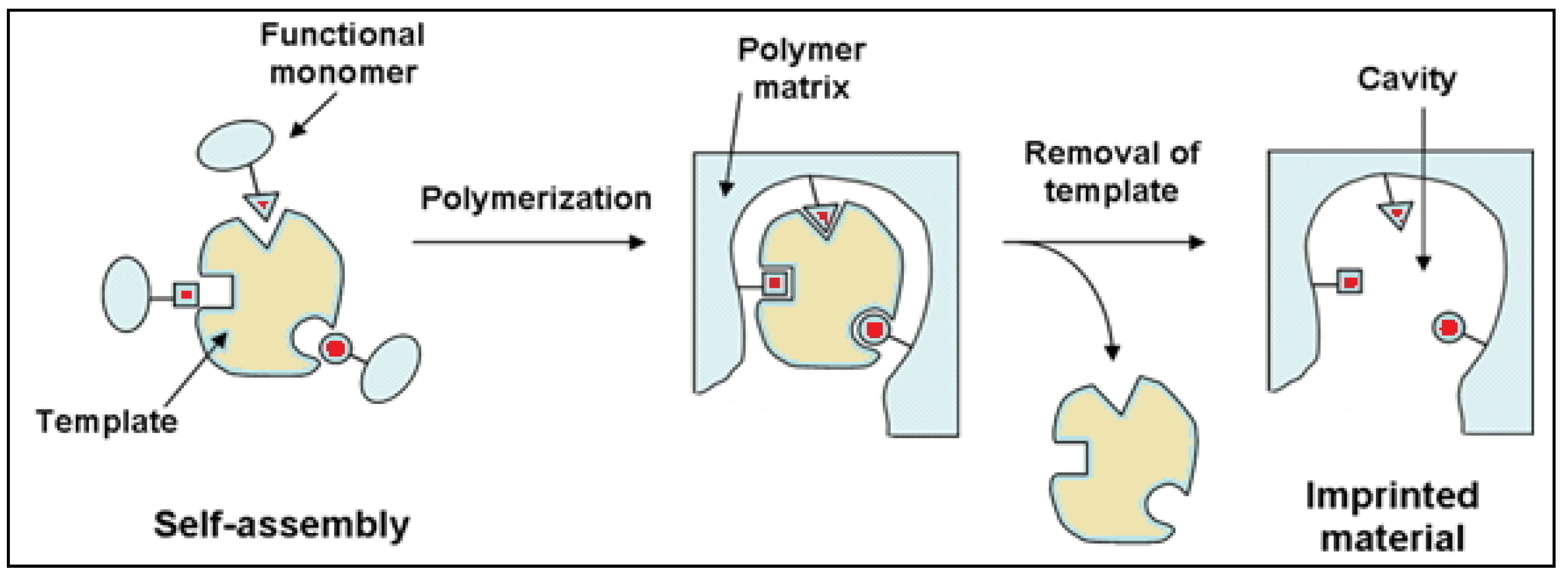 Engproc 11 00013 g002