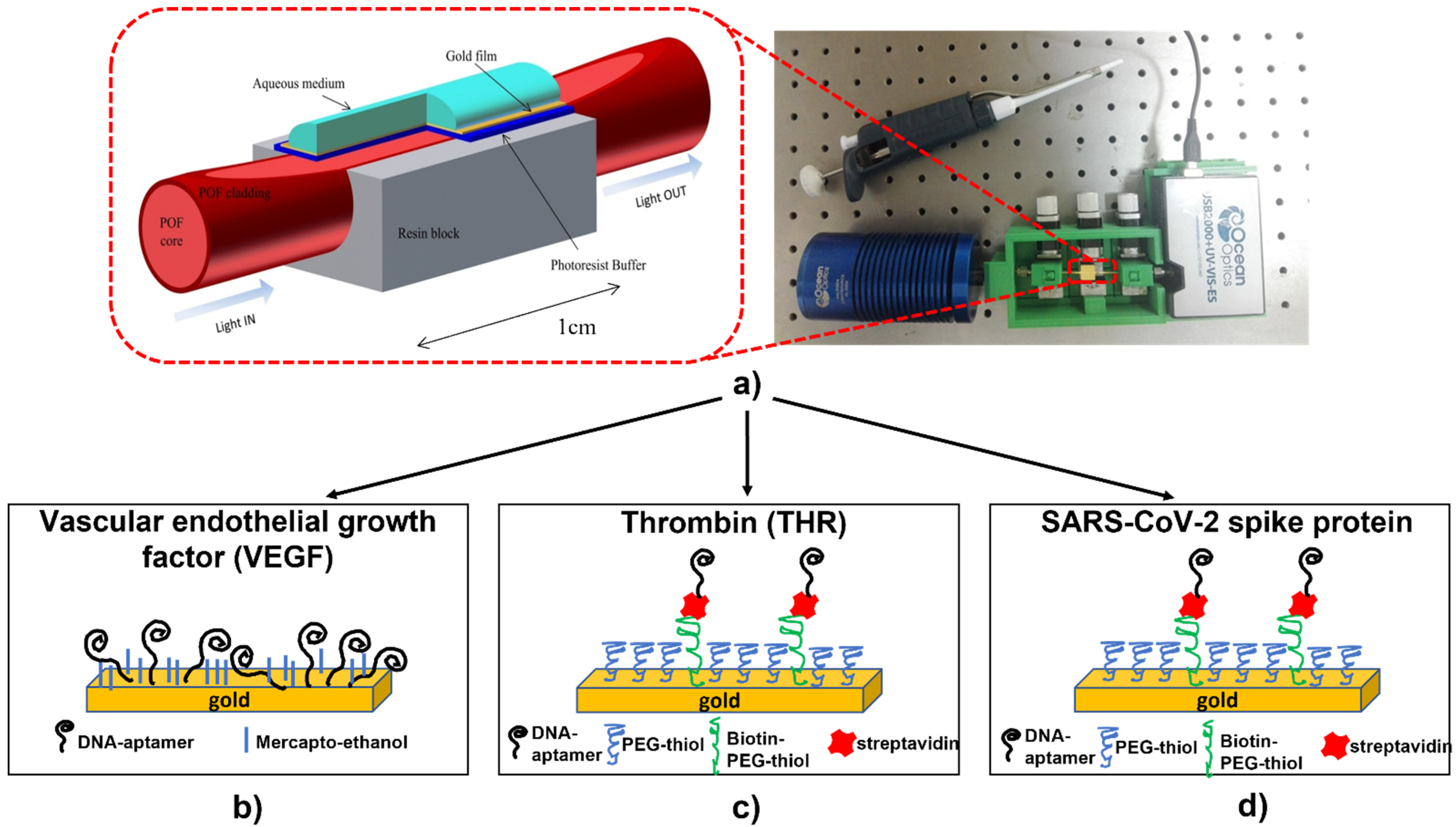 Engproc 11 00019 g001