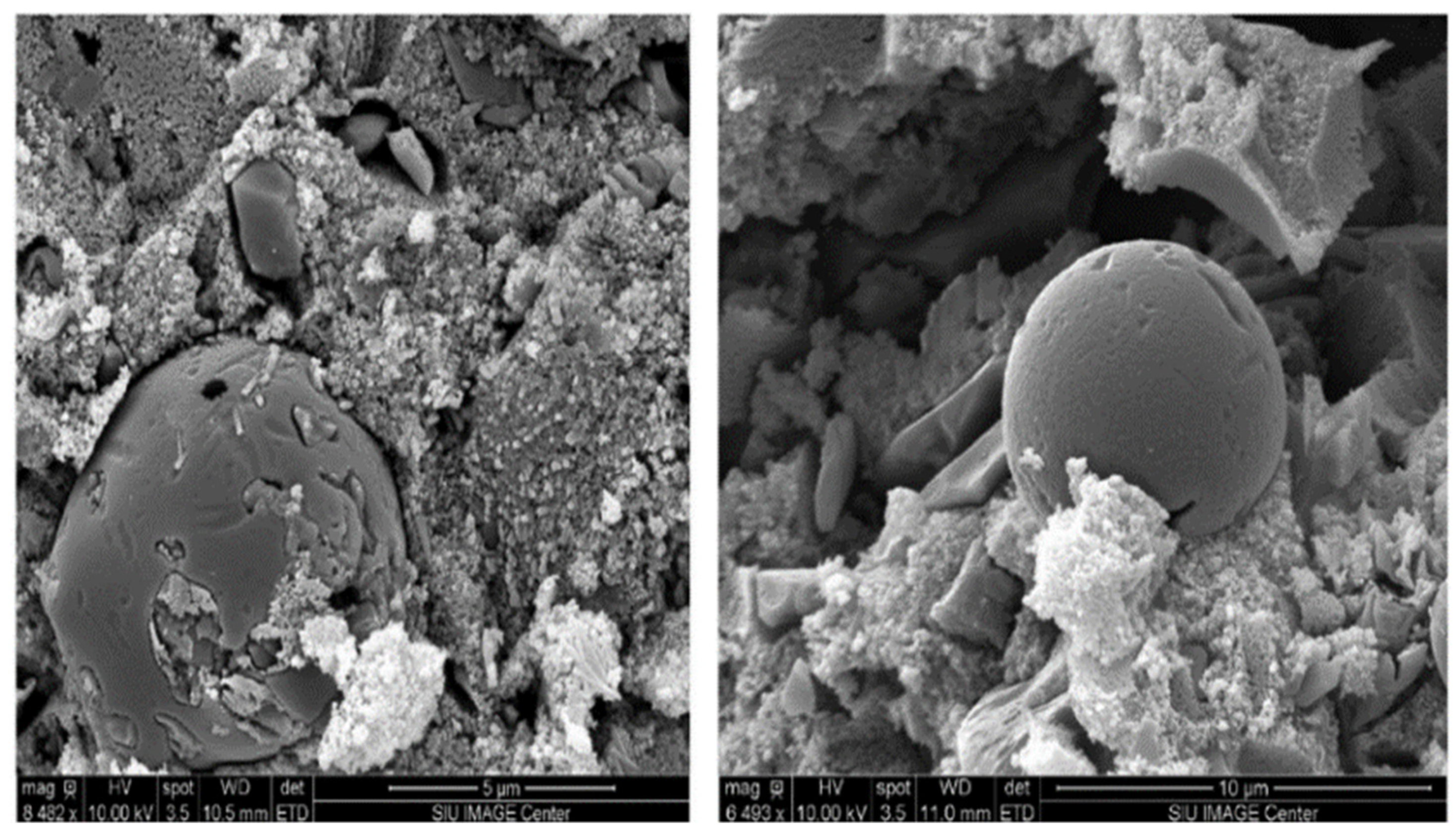 Engproc 11 00020 g002