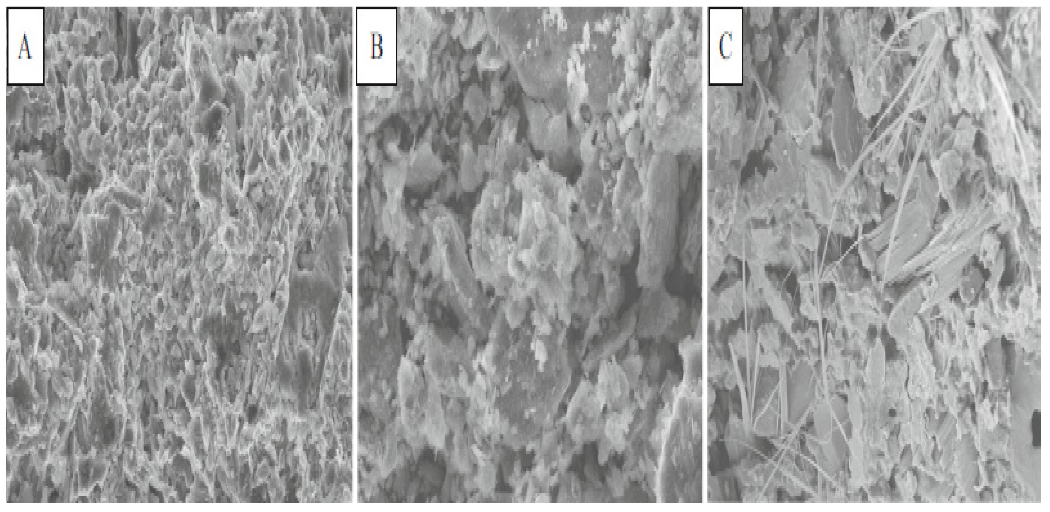 Engproc 11 00020 g003