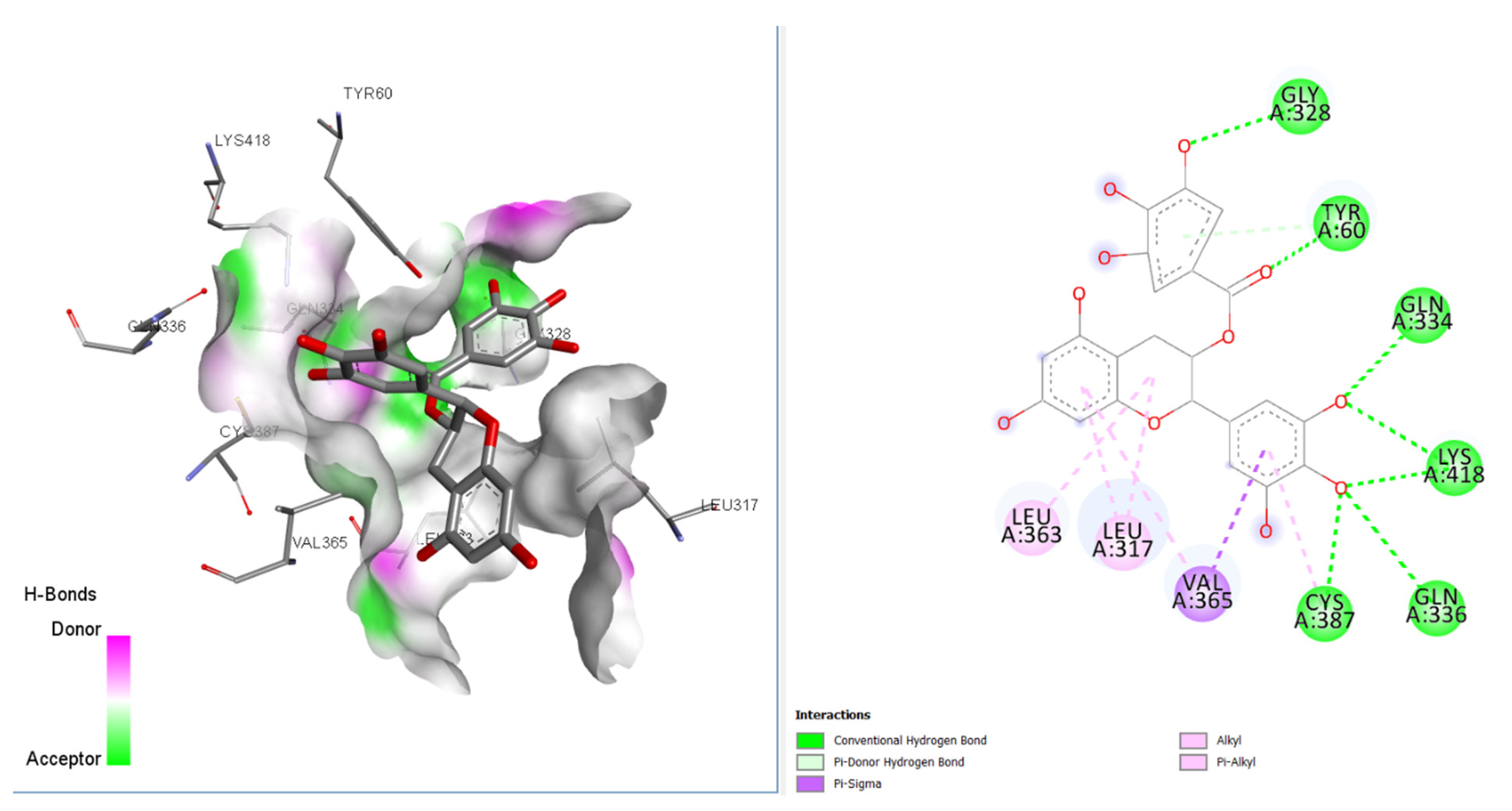 Engproc 11 00031 g002