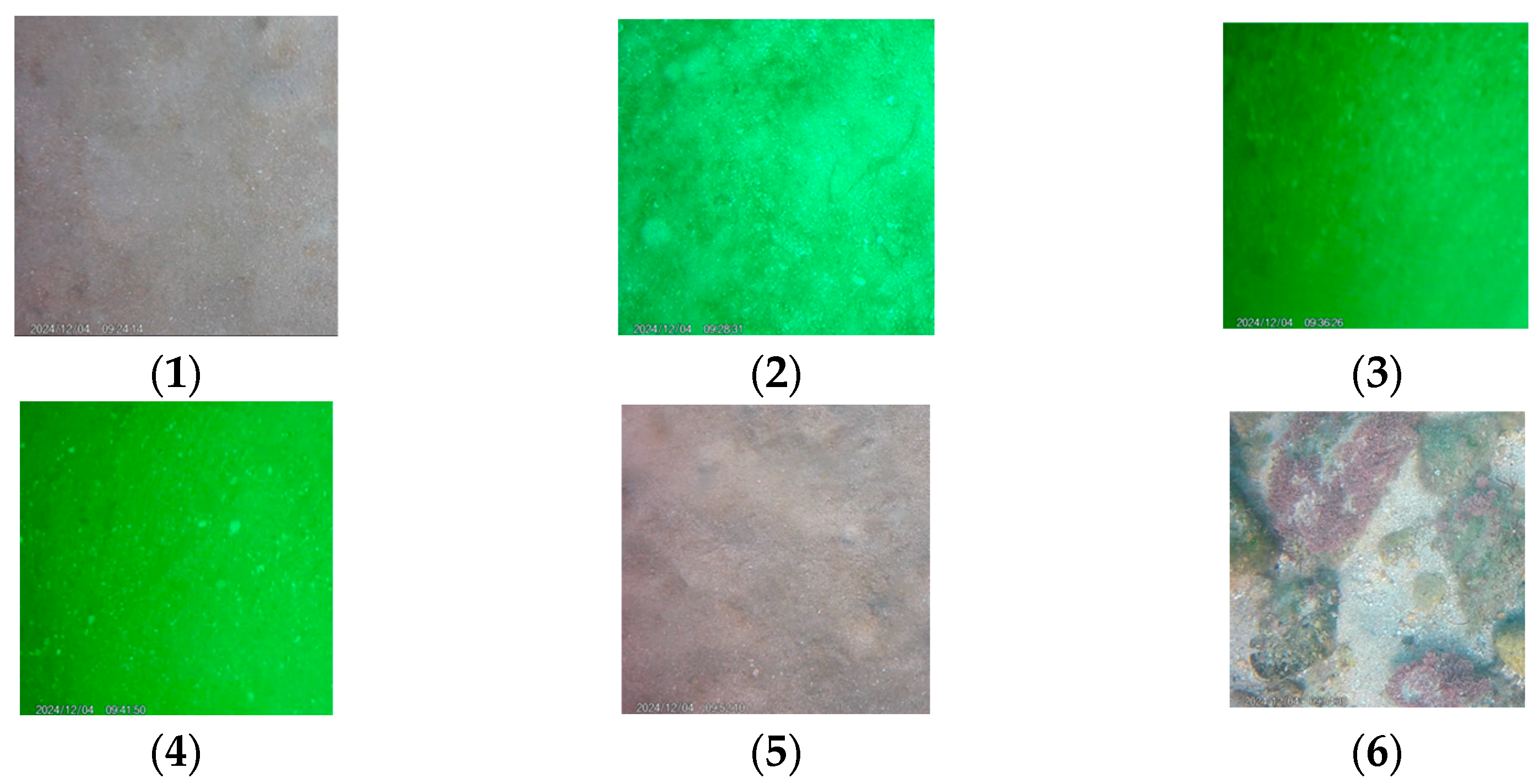 Engproc 110 00002 g002