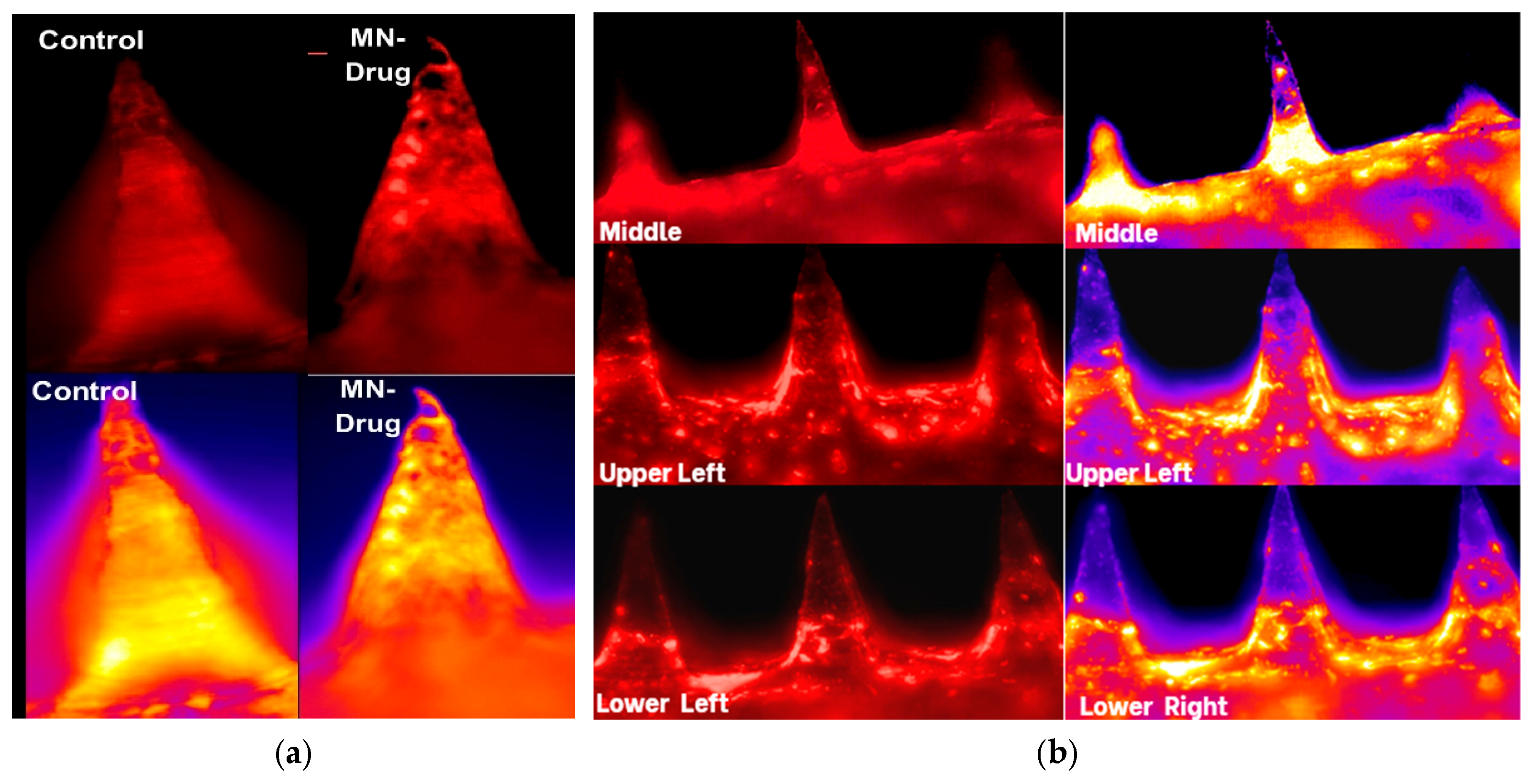 Engproc 110 00007 g003