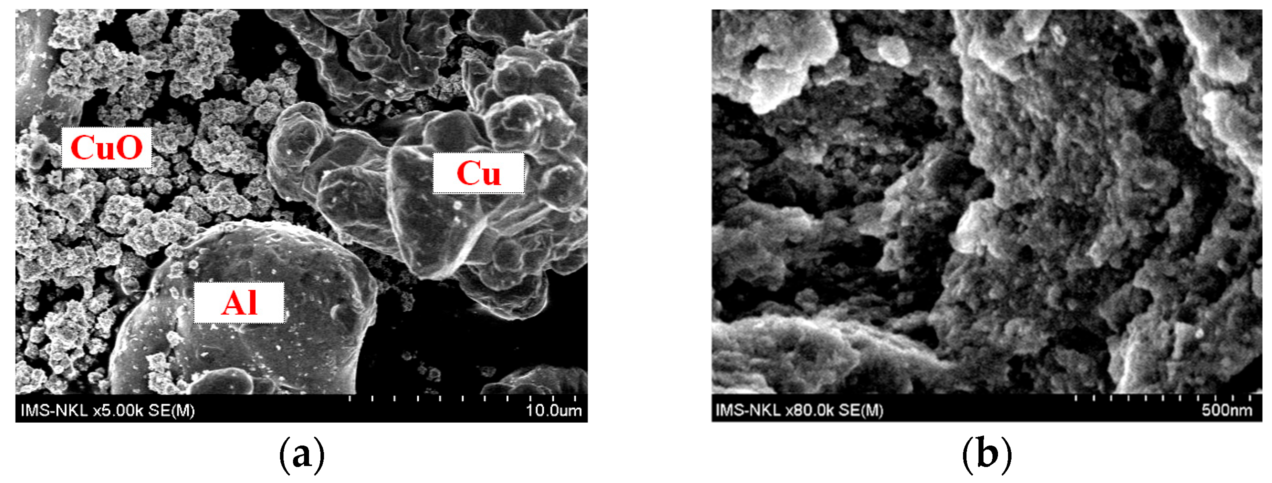 Engproc 111 00005 g004