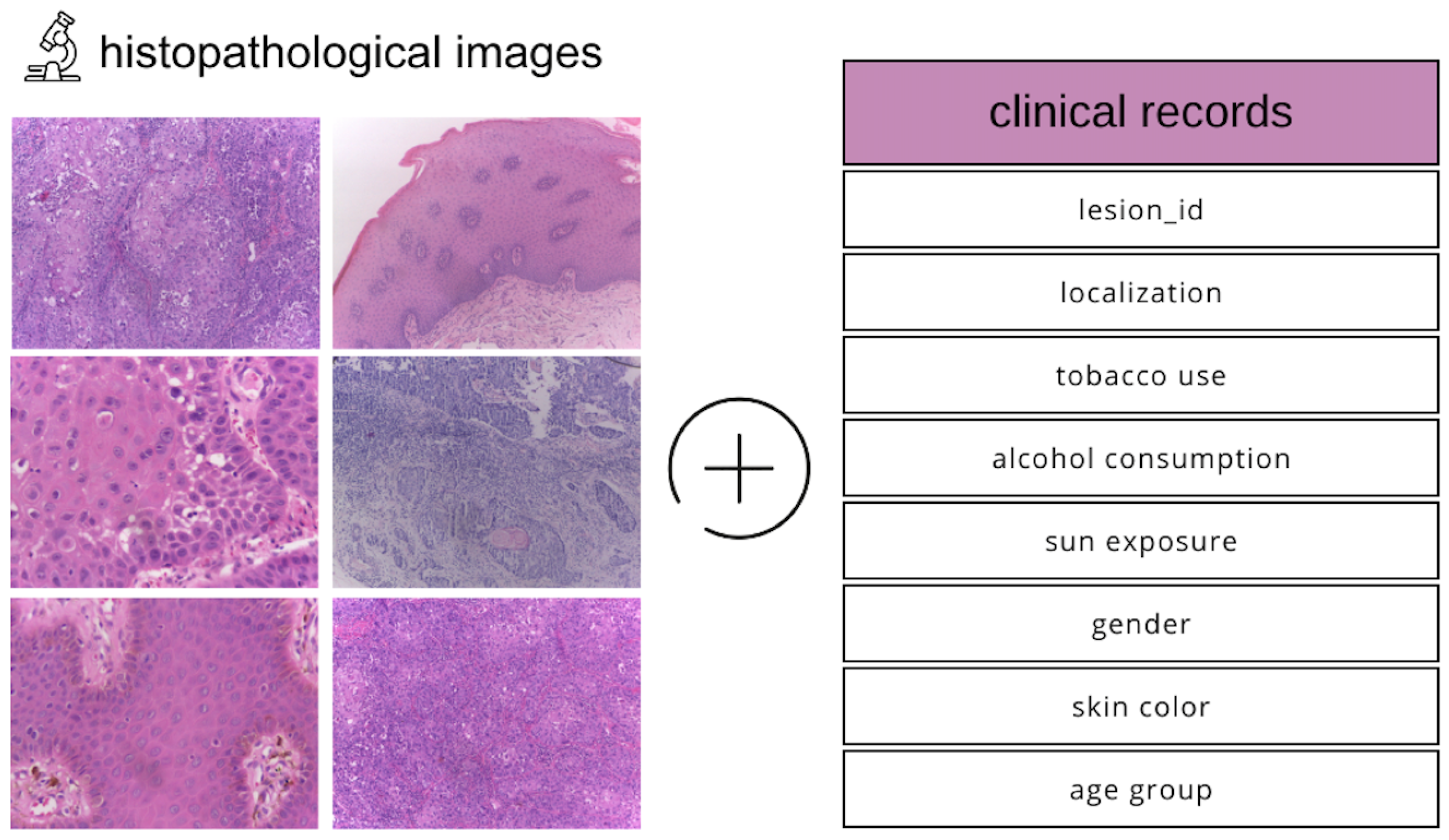 Engproc 112 00065 g001