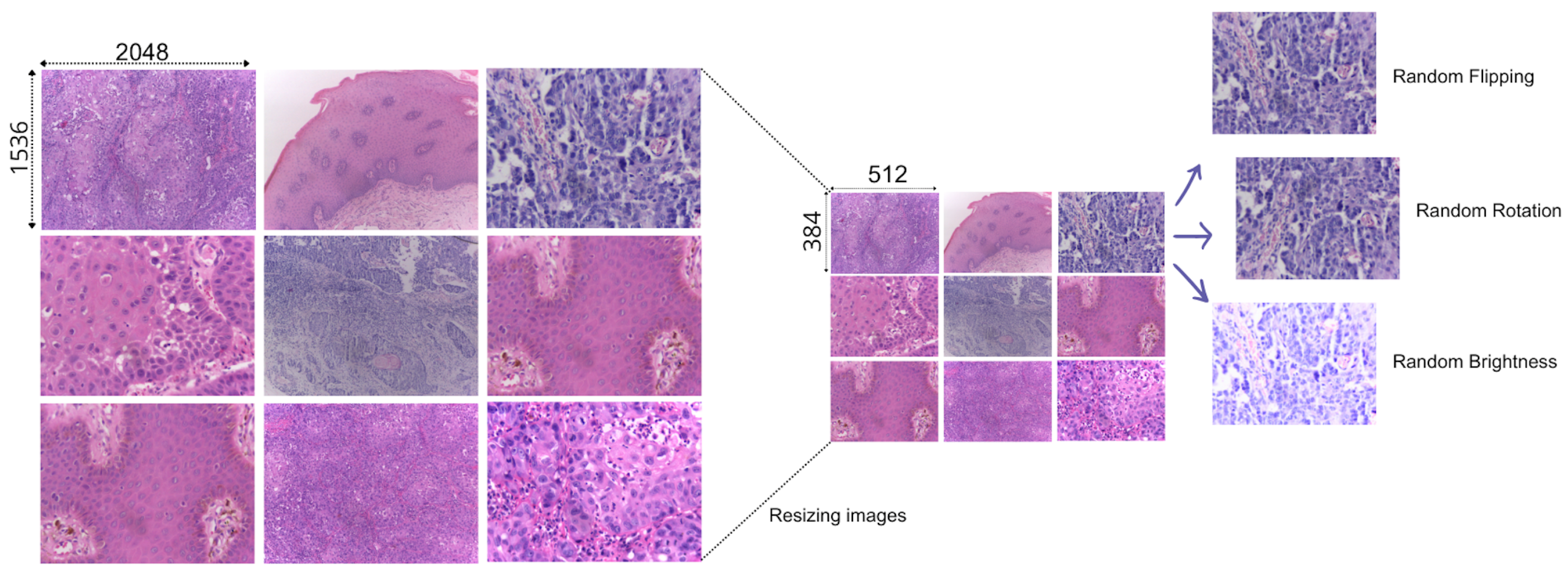 Engproc 112 00065 g002
