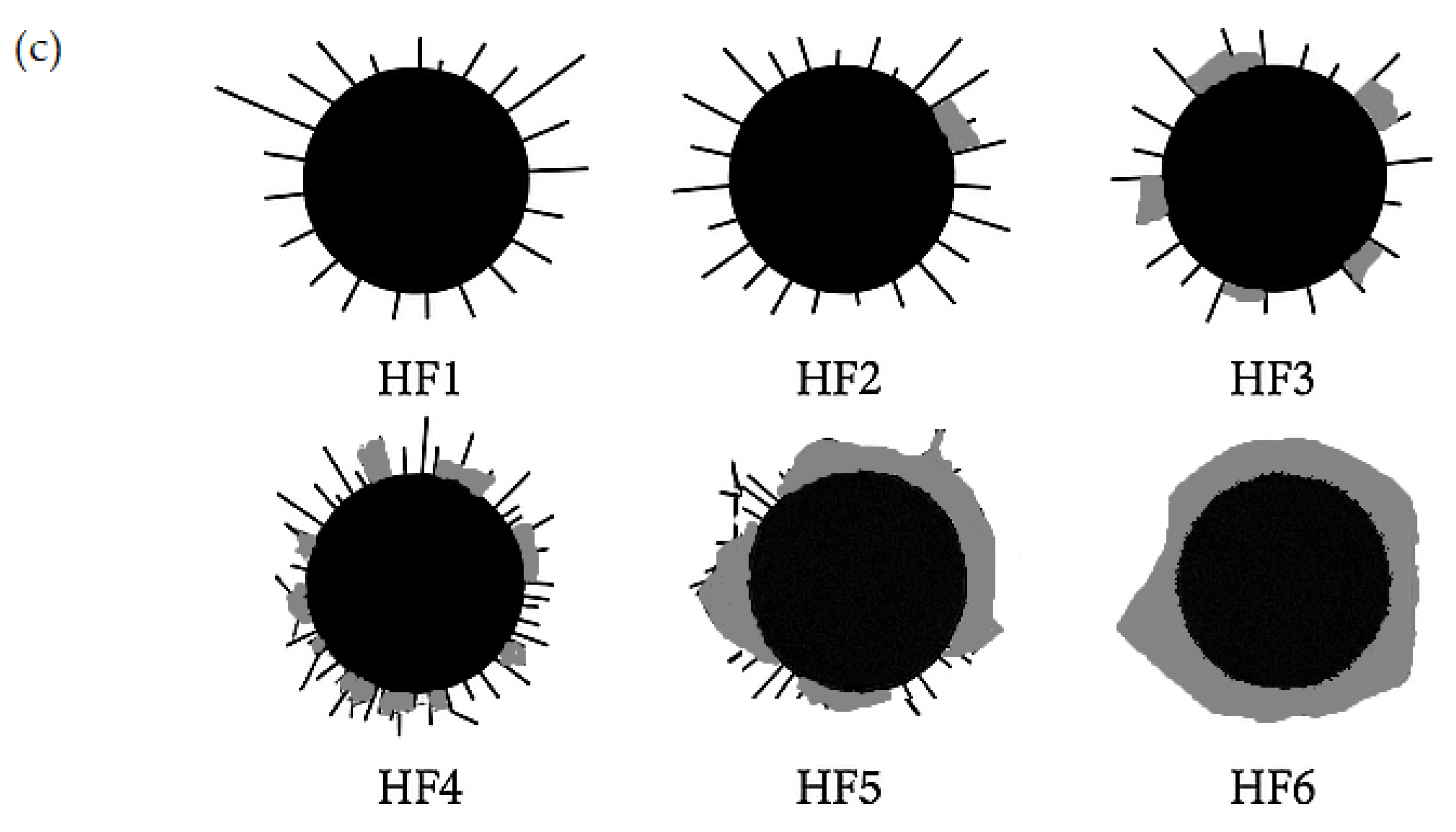 Engproc 113 00011 g001b