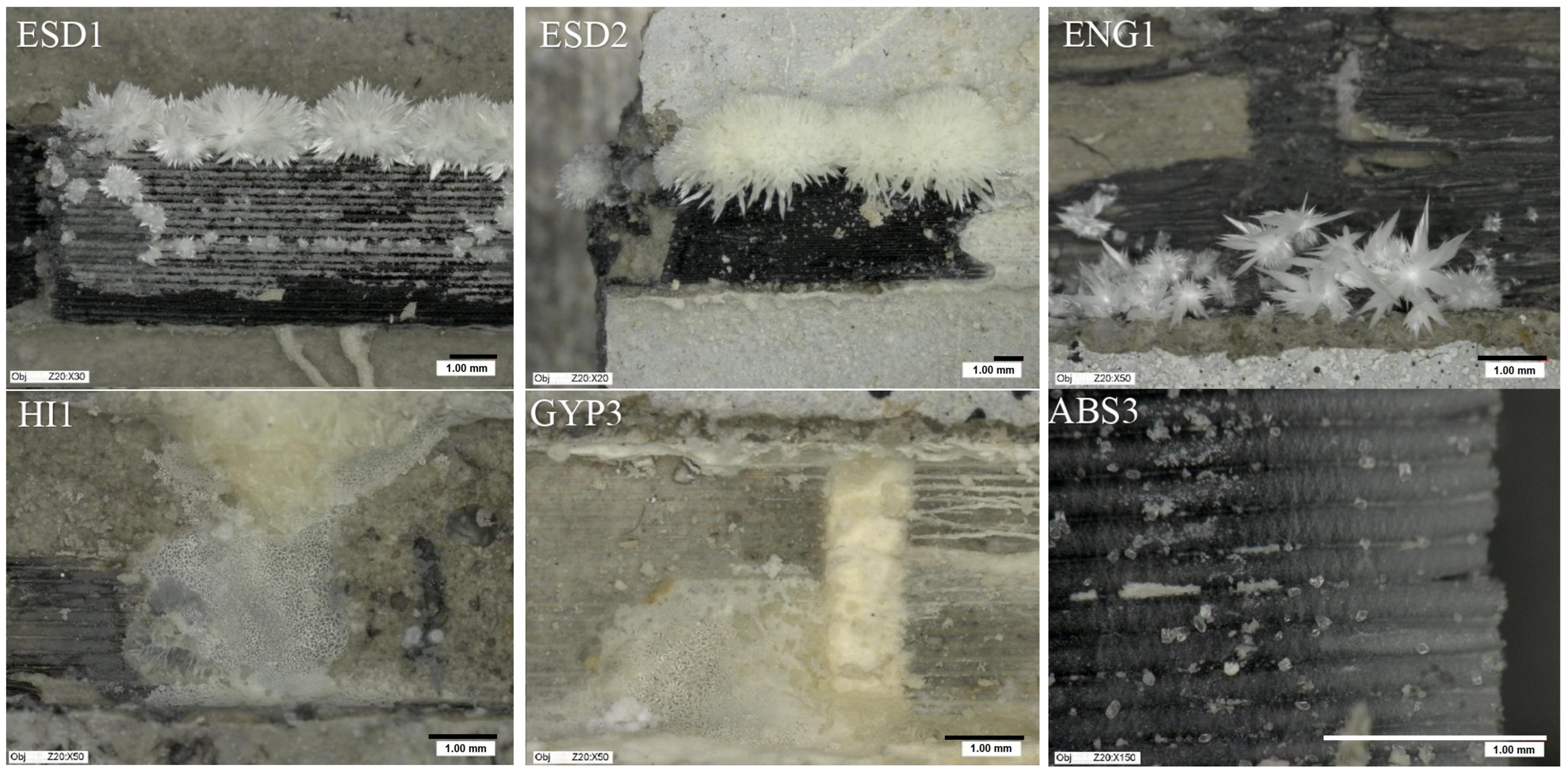 Engproc 113 00045 g003