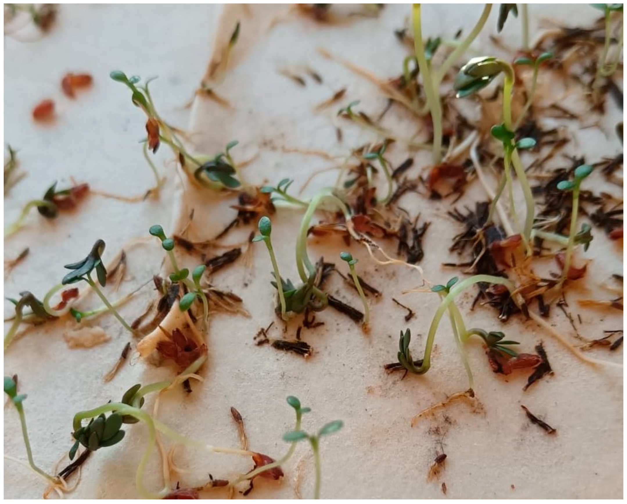 Engproc 116 00015 g002