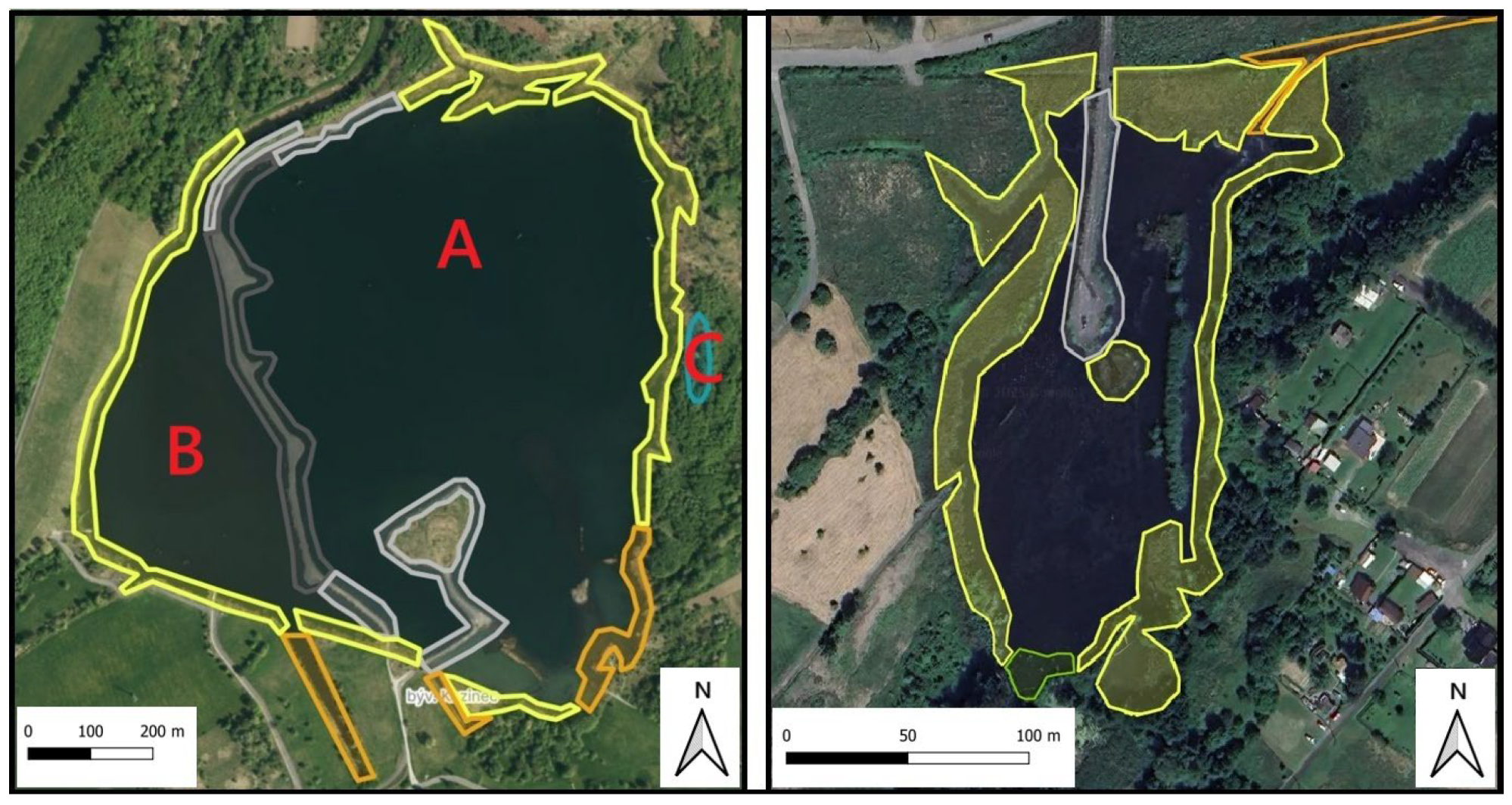 Engproc 116 00017 g001