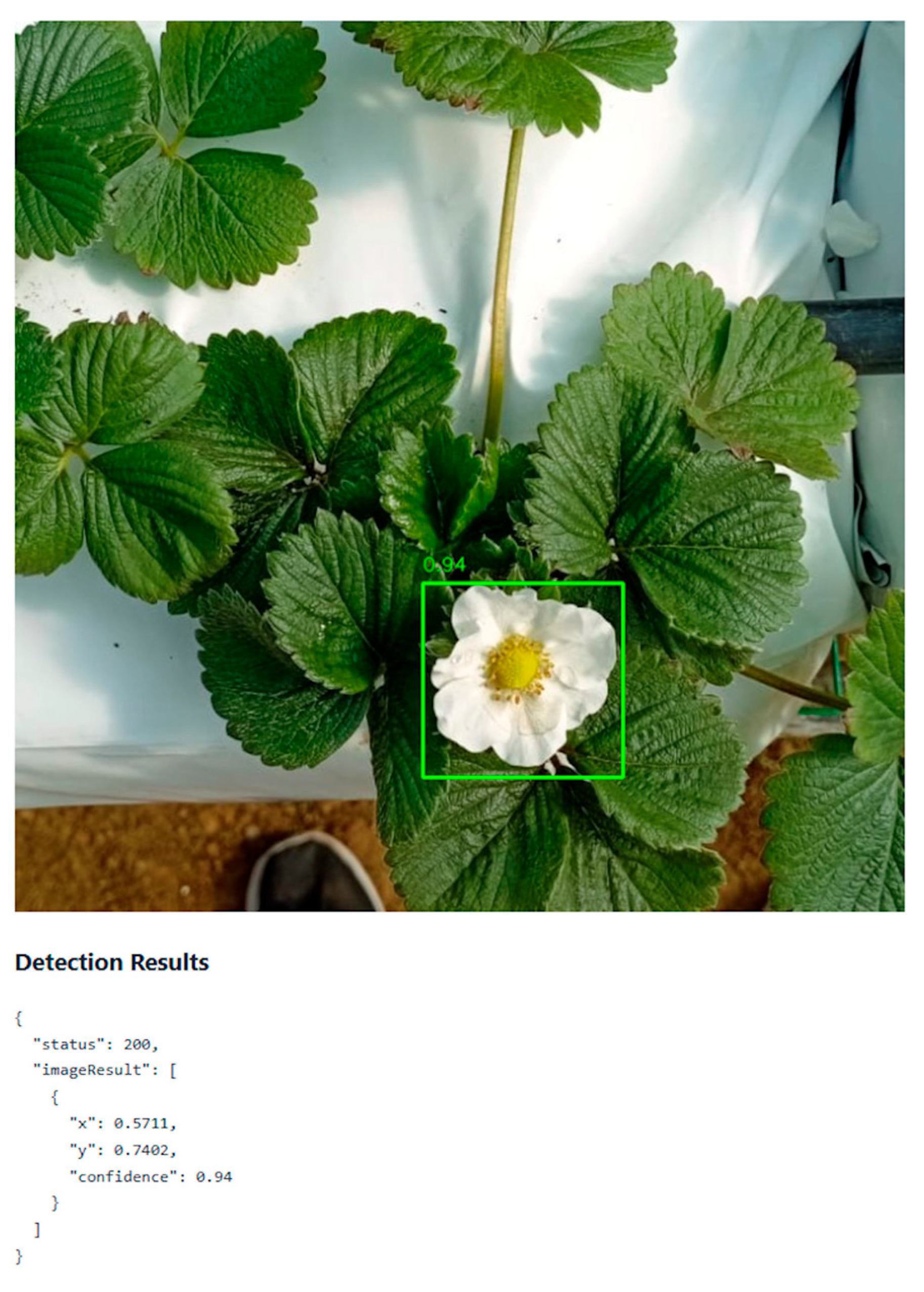 Engproc 118 00055 g003