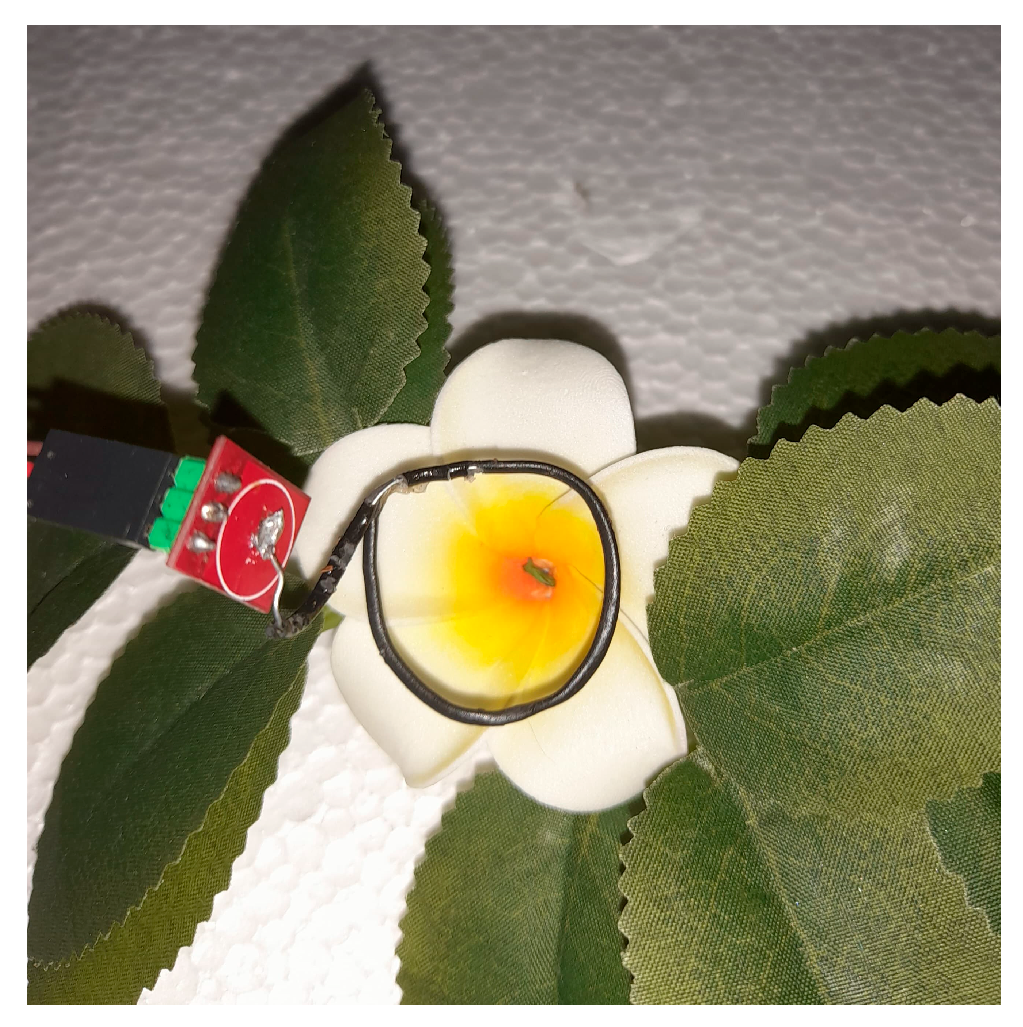 Engproc 118 00055 g005