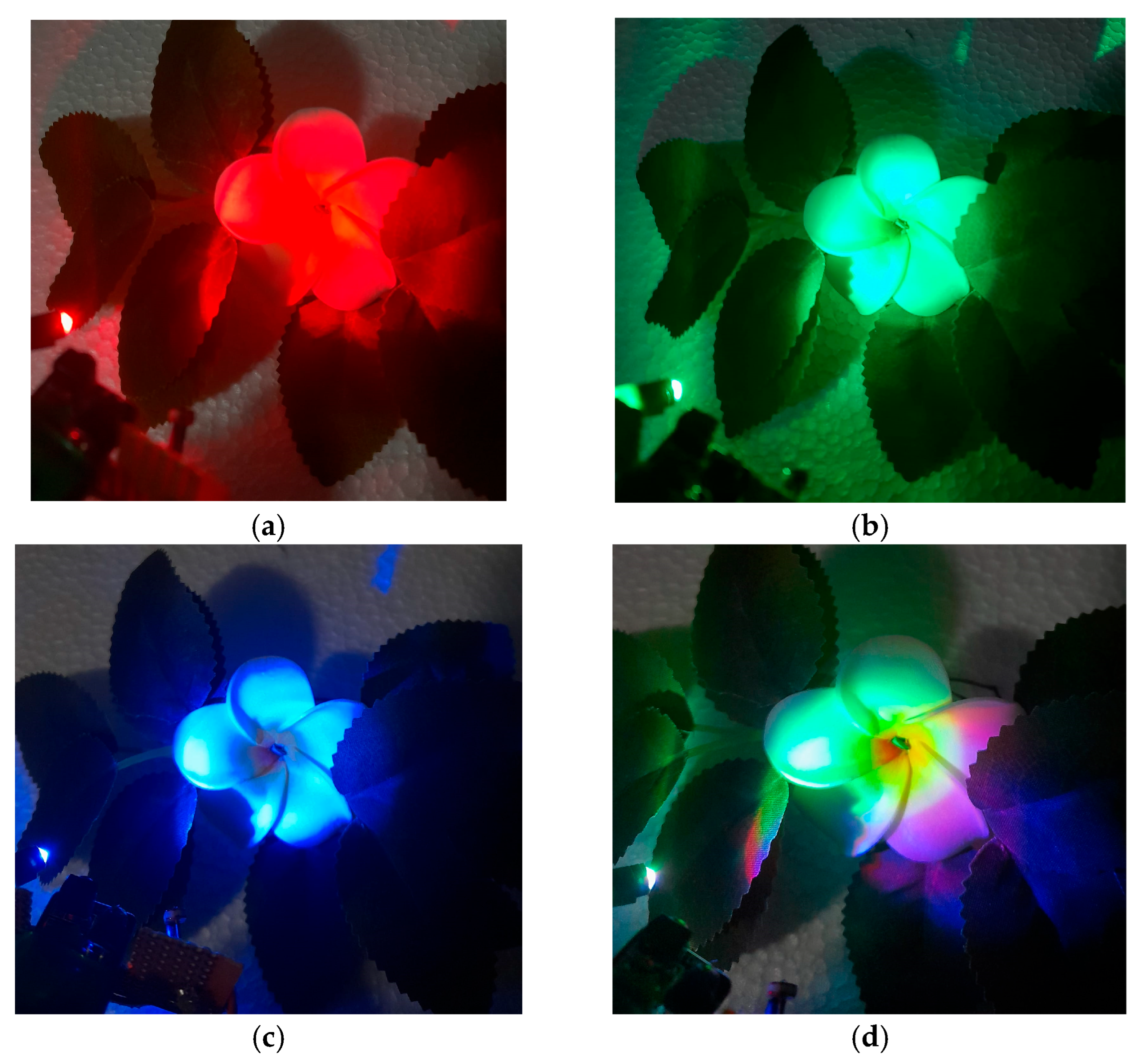 Engproc 118 00055 g007