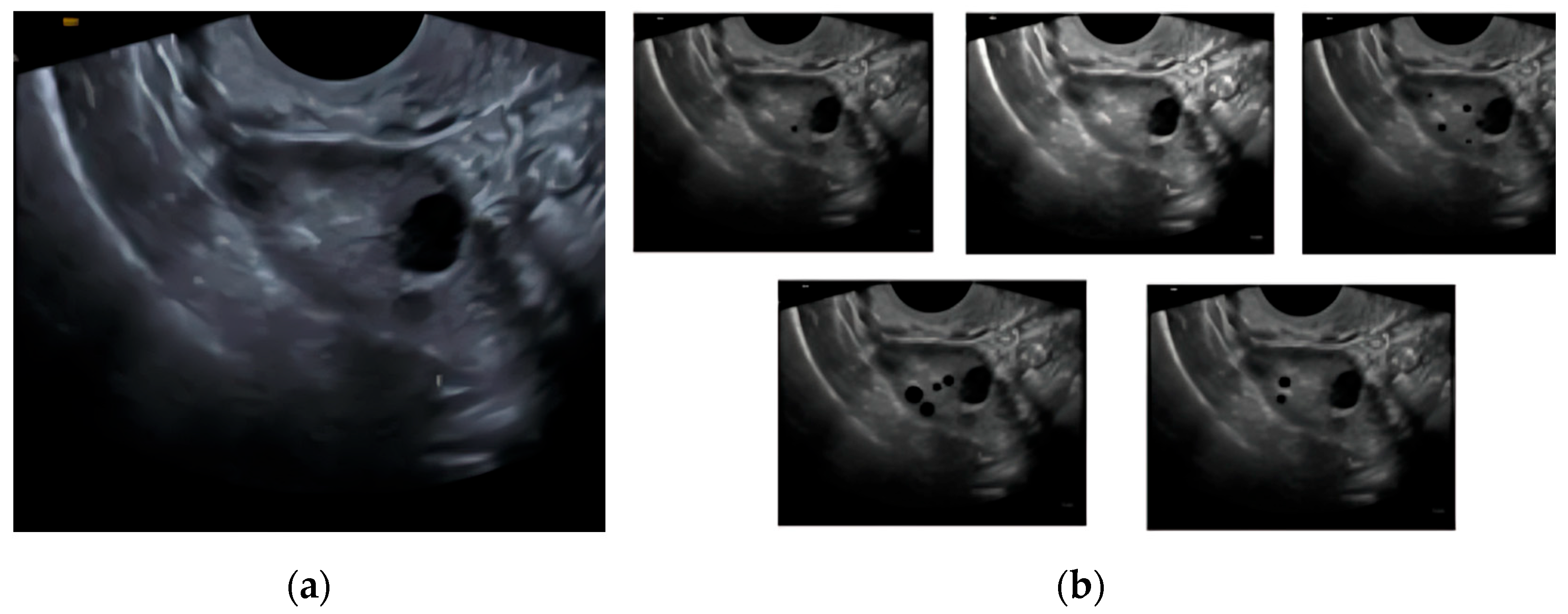 Engproc 118 00062 g001