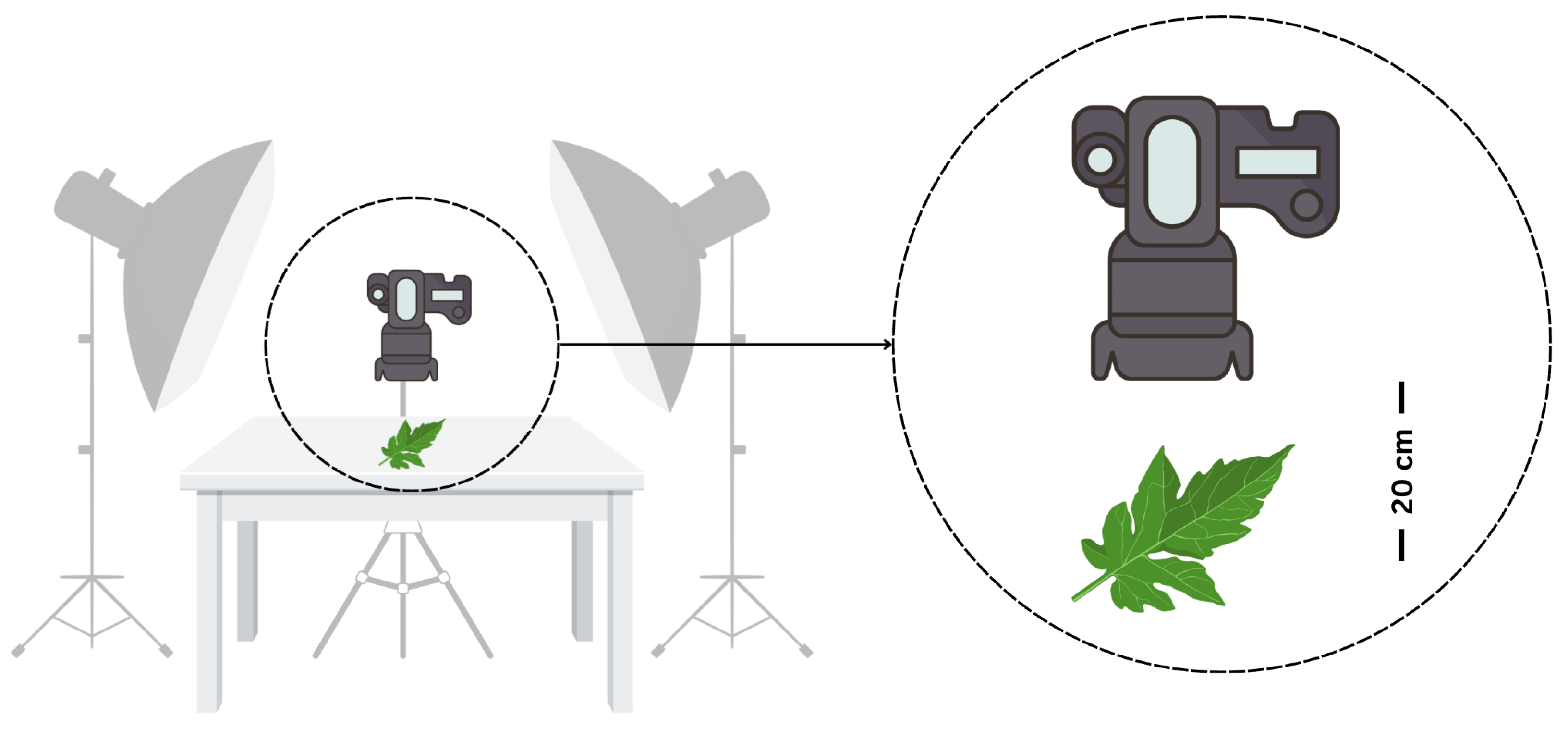 Engproc 118 00069 g002