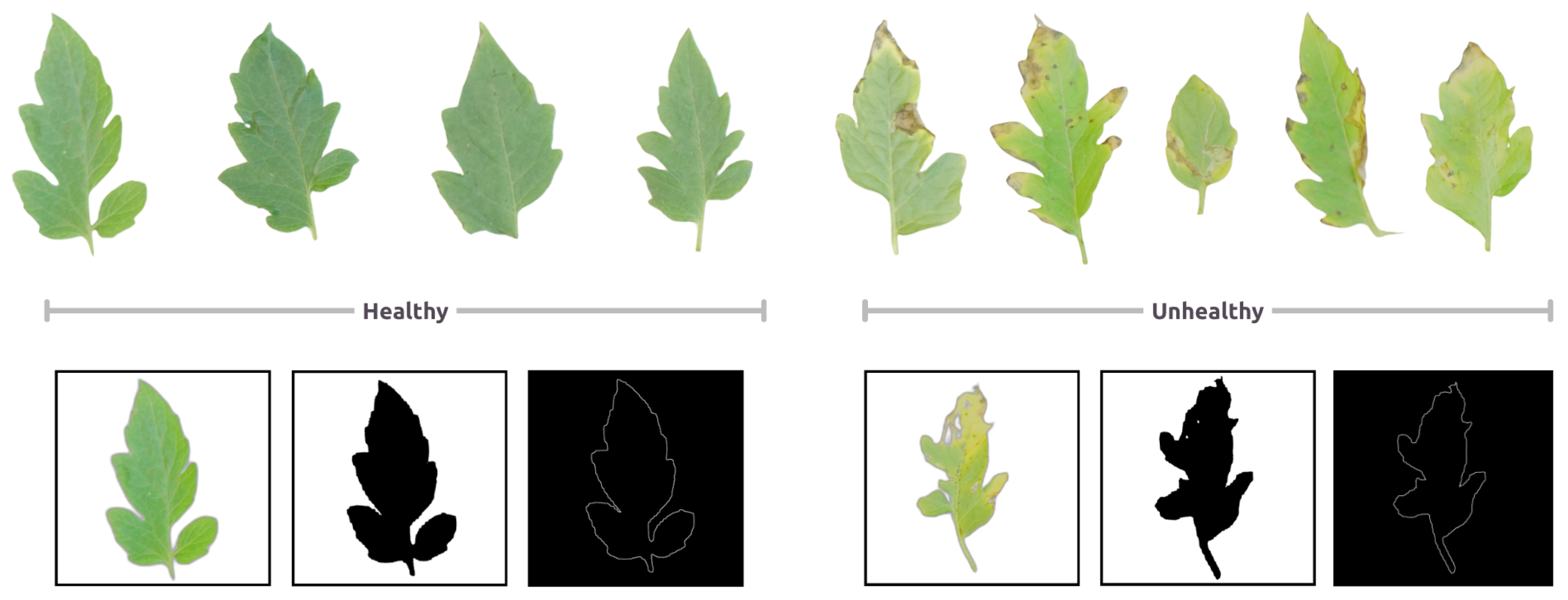 Engproc 118 00069 g003