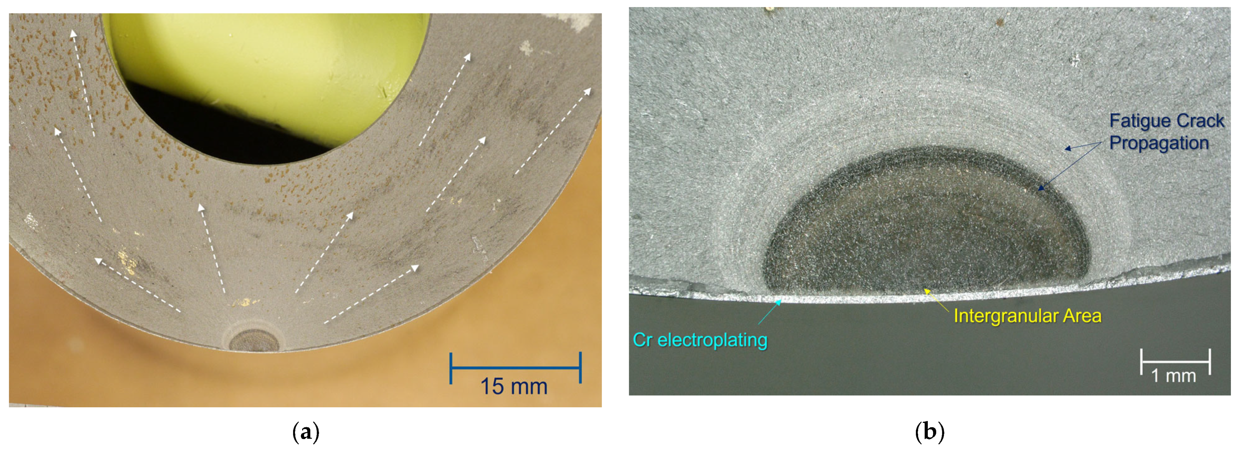 Engproc 119 00007 g002