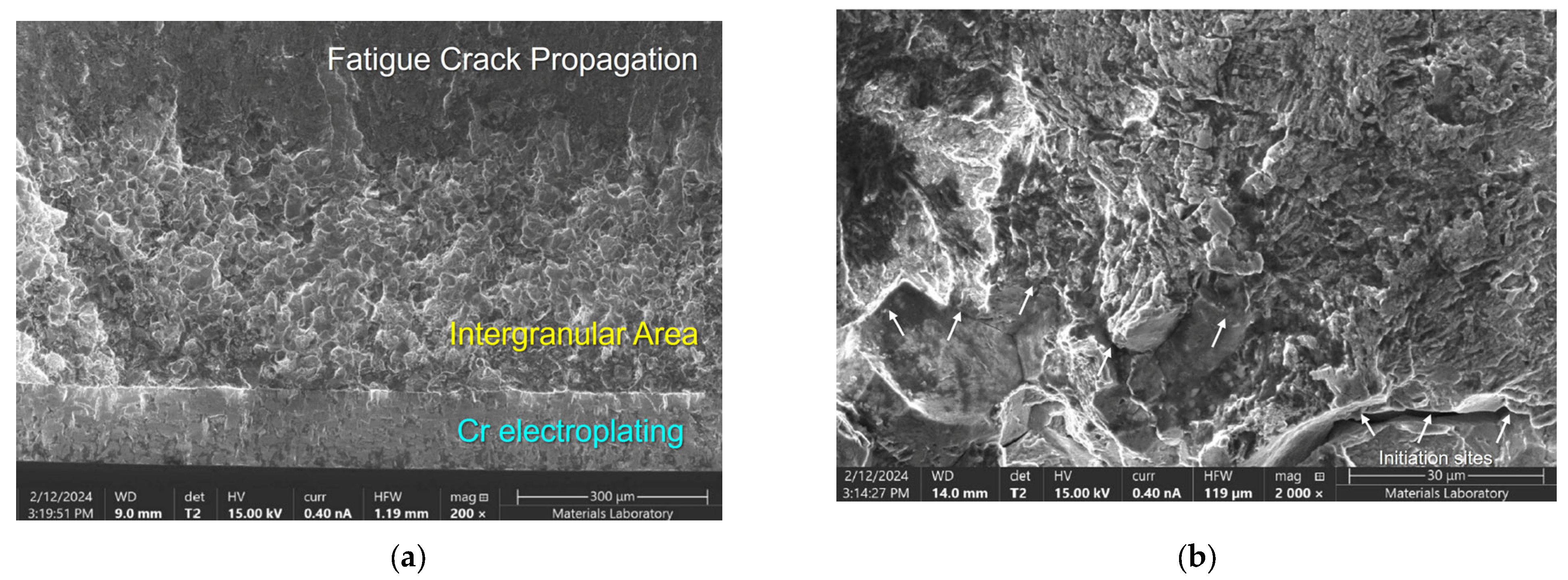 Engproc 119 00007 g003