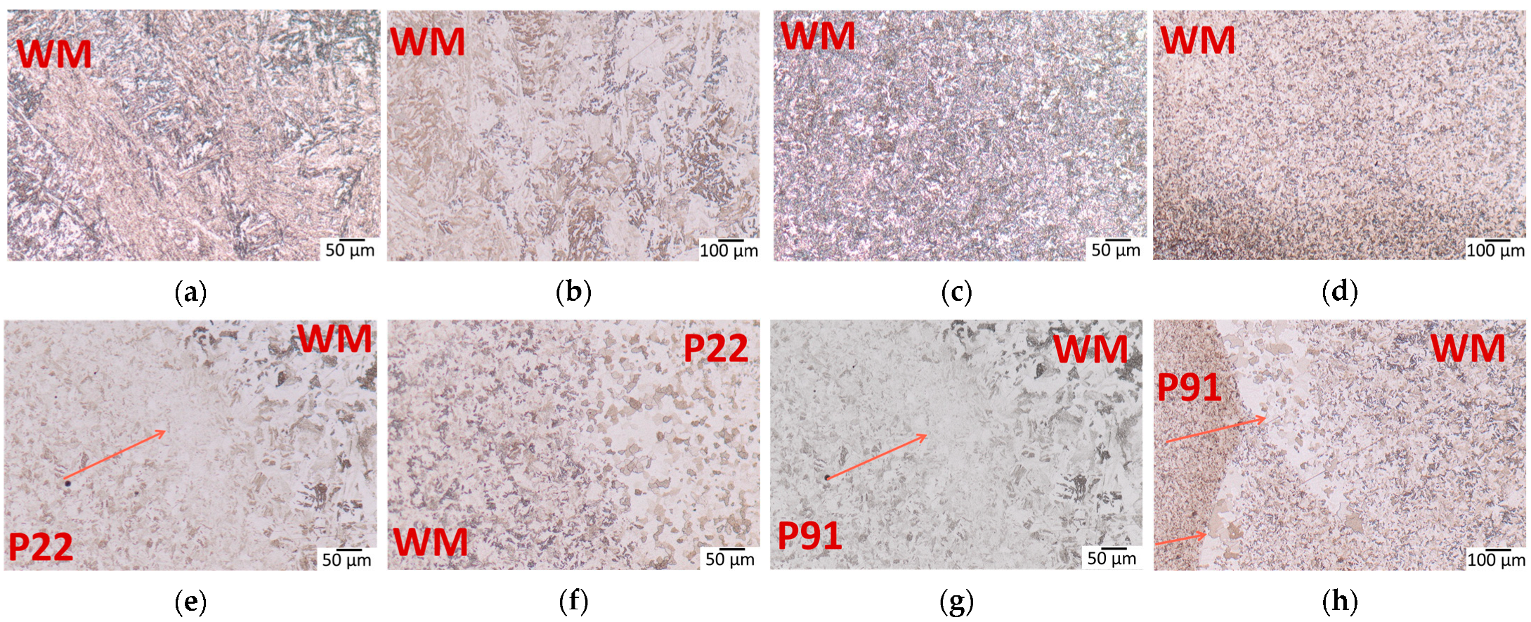 Engproc 119 00009 g004