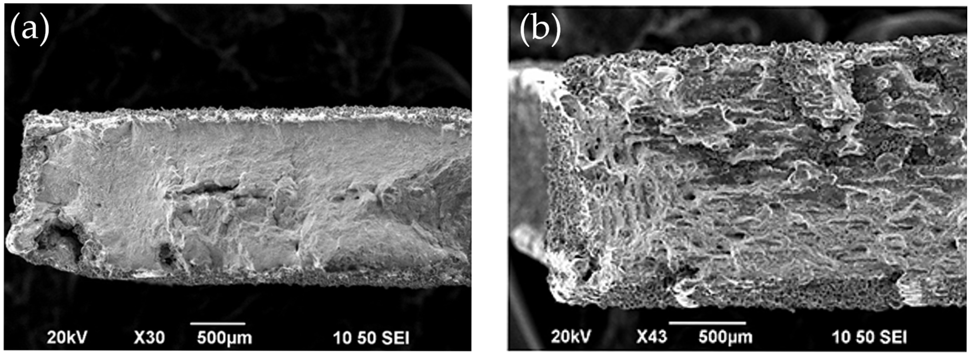 Engproc 119 00023 g005