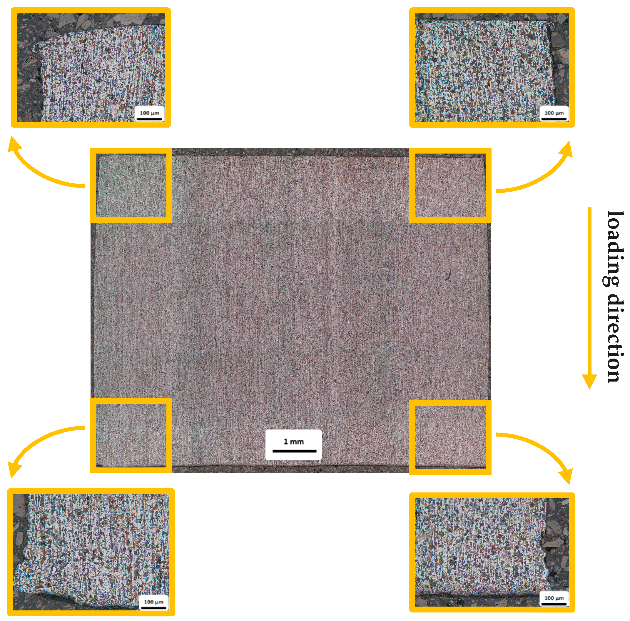 Engproc 119 00047 g003