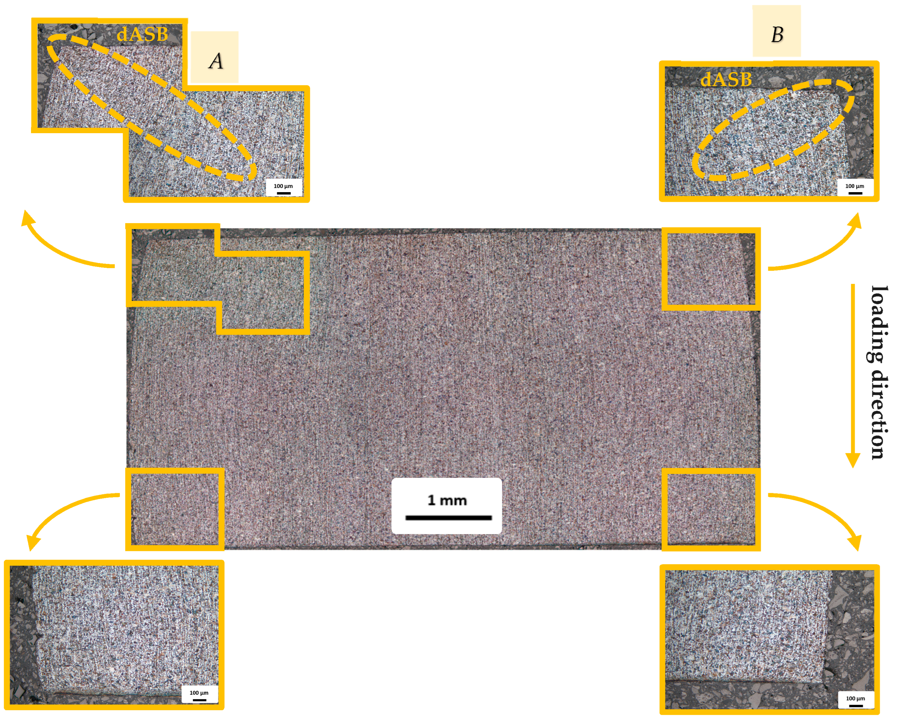 Engproc 119 00047 g005