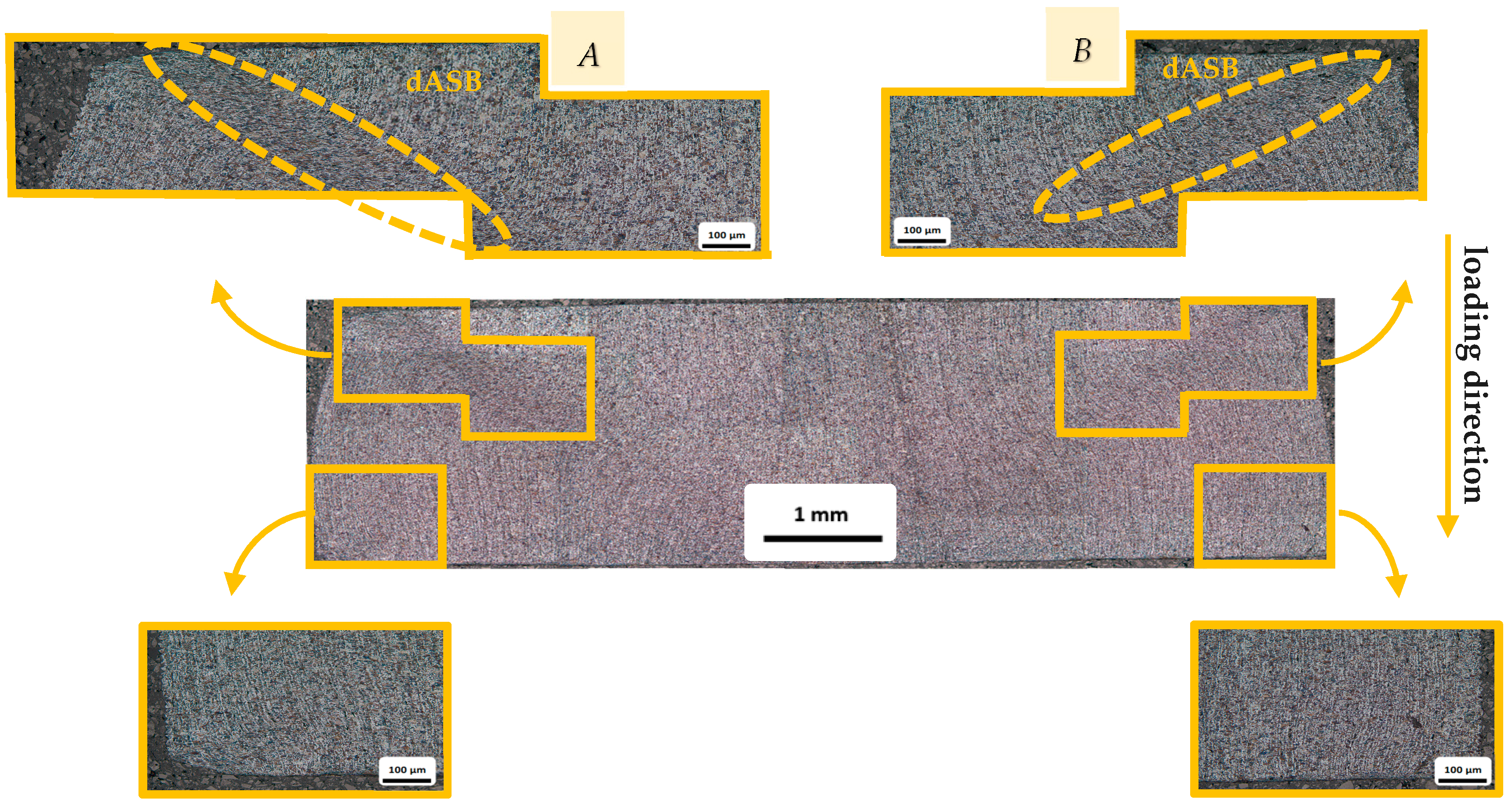 Engproc 119 00047 g008