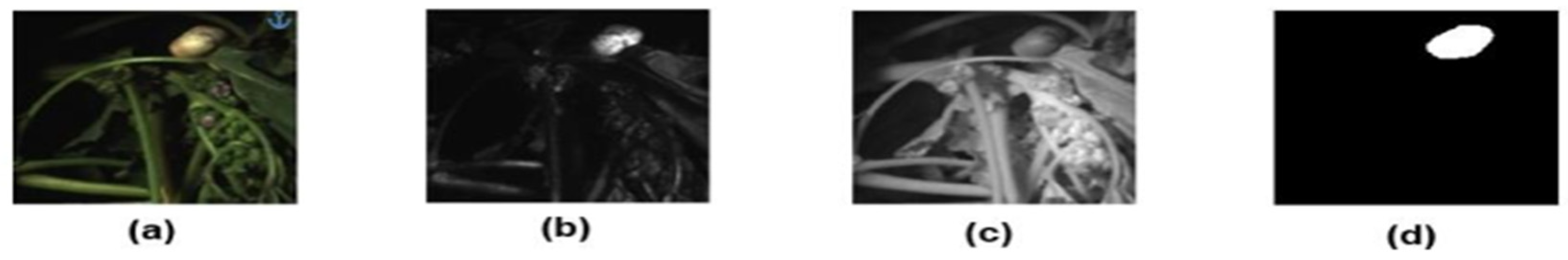 Engproc 12 00046 g002