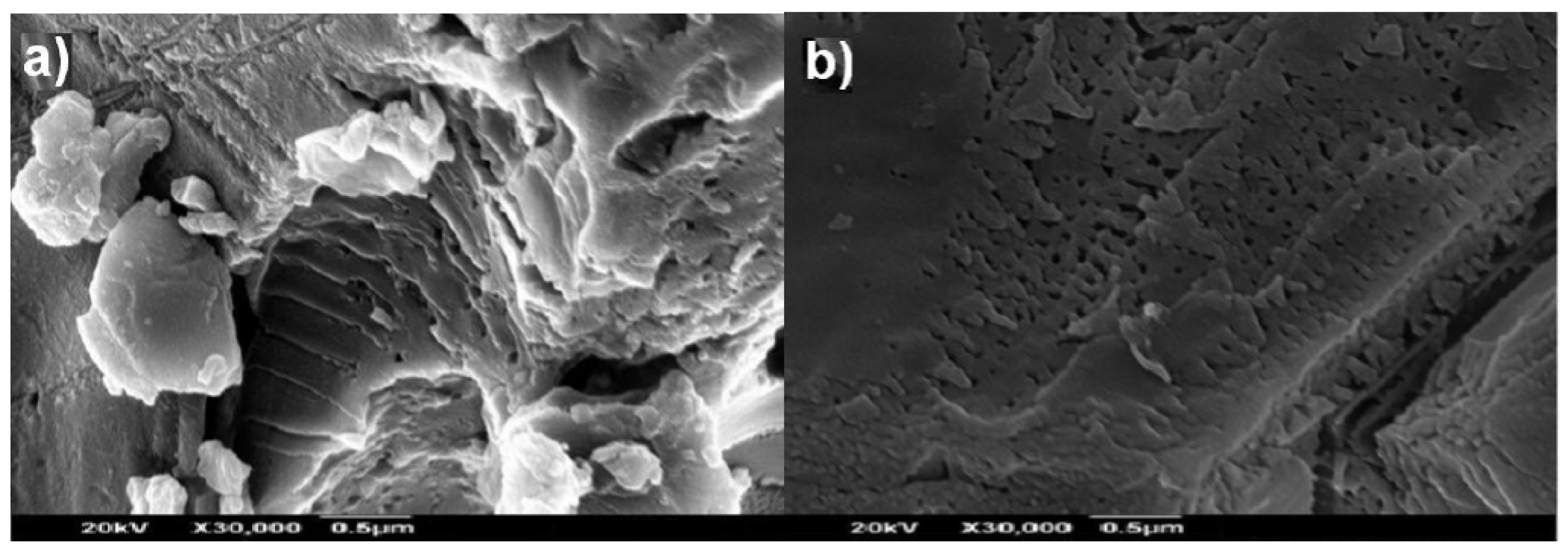 Engproc 12 00052 g002