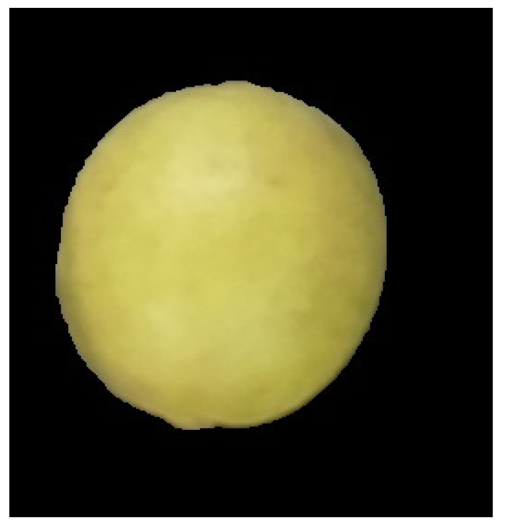 Engproc 12 00055 g002