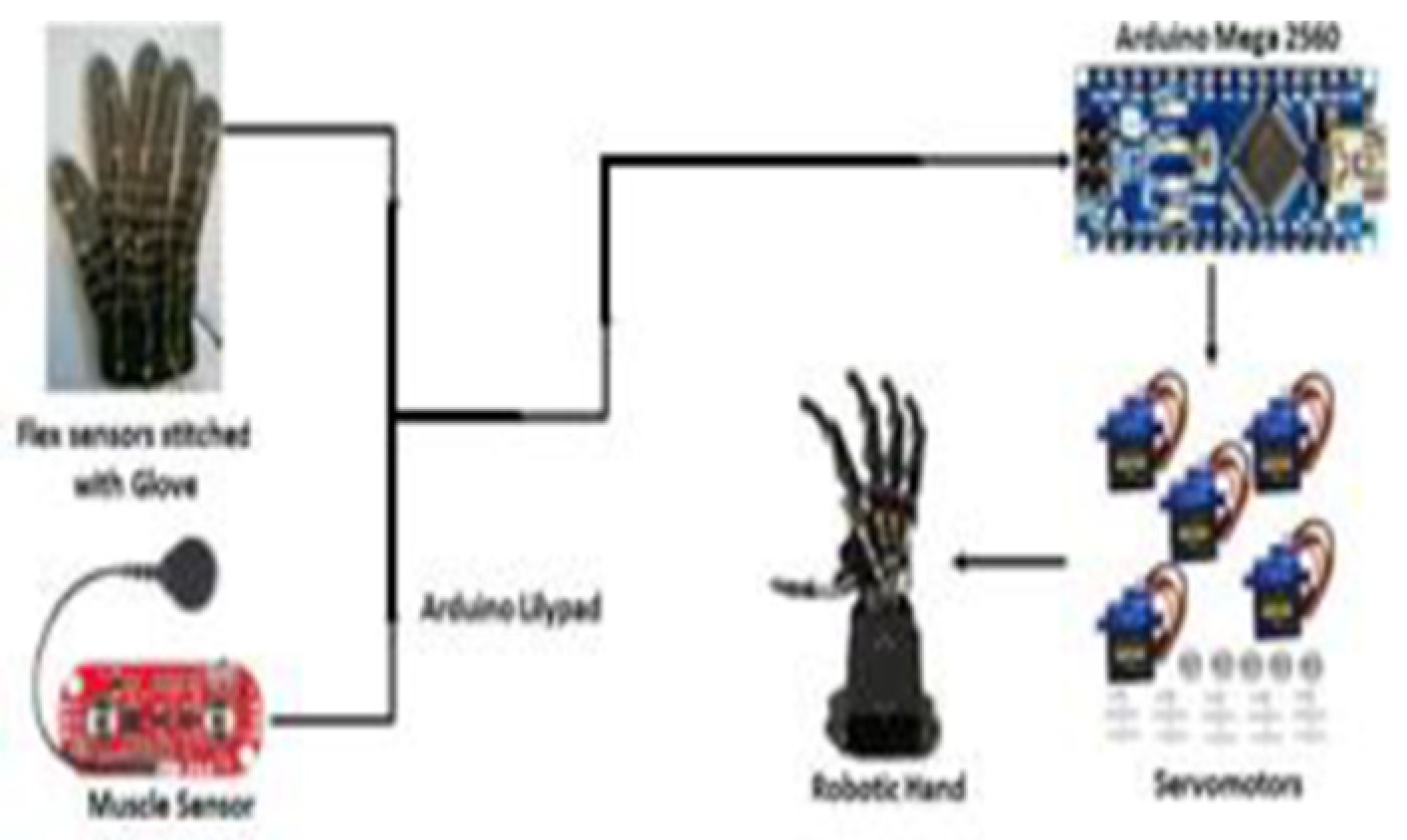 Engproc 12 00056 g001