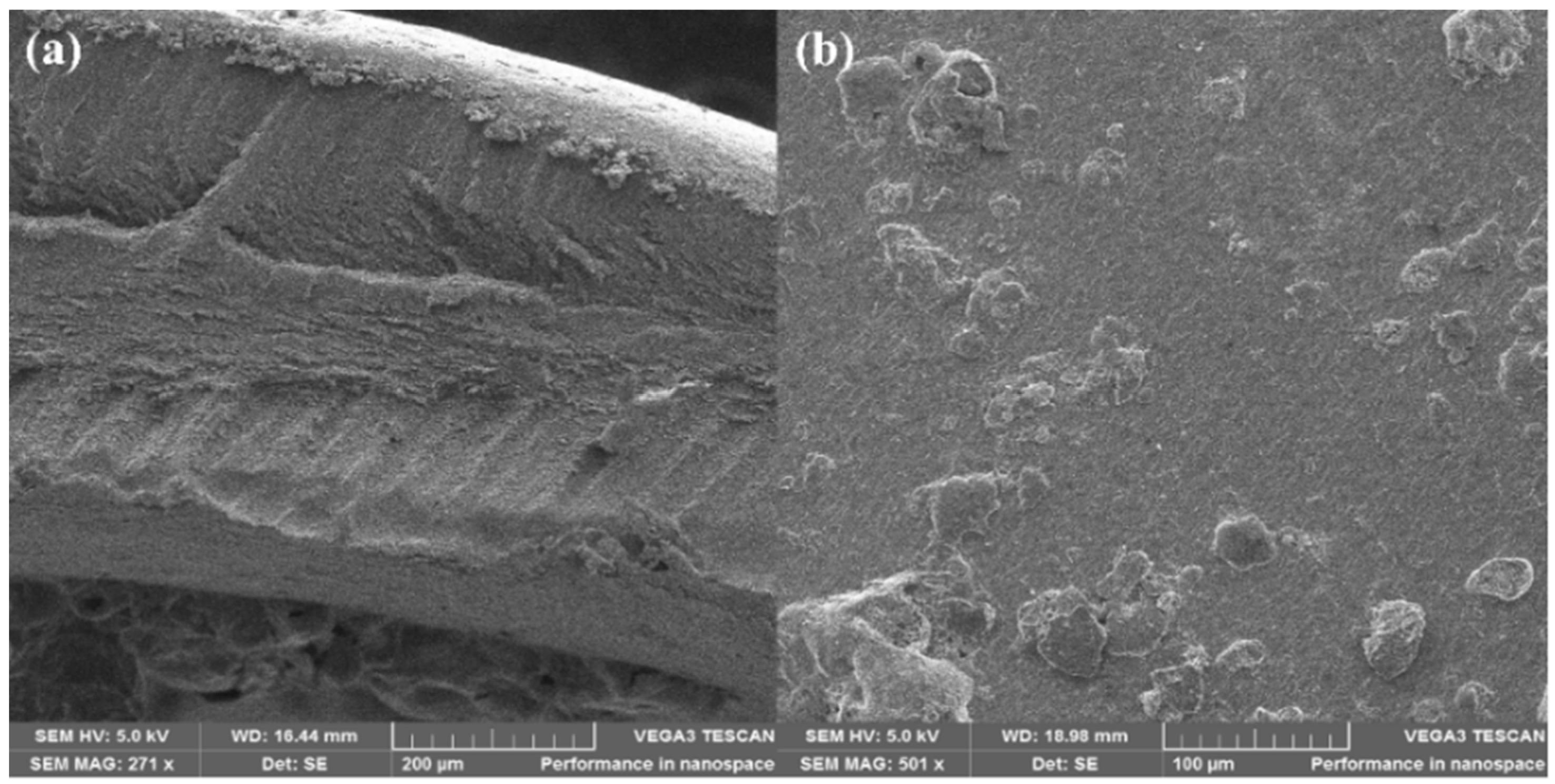 Engproc 12 00057 g001