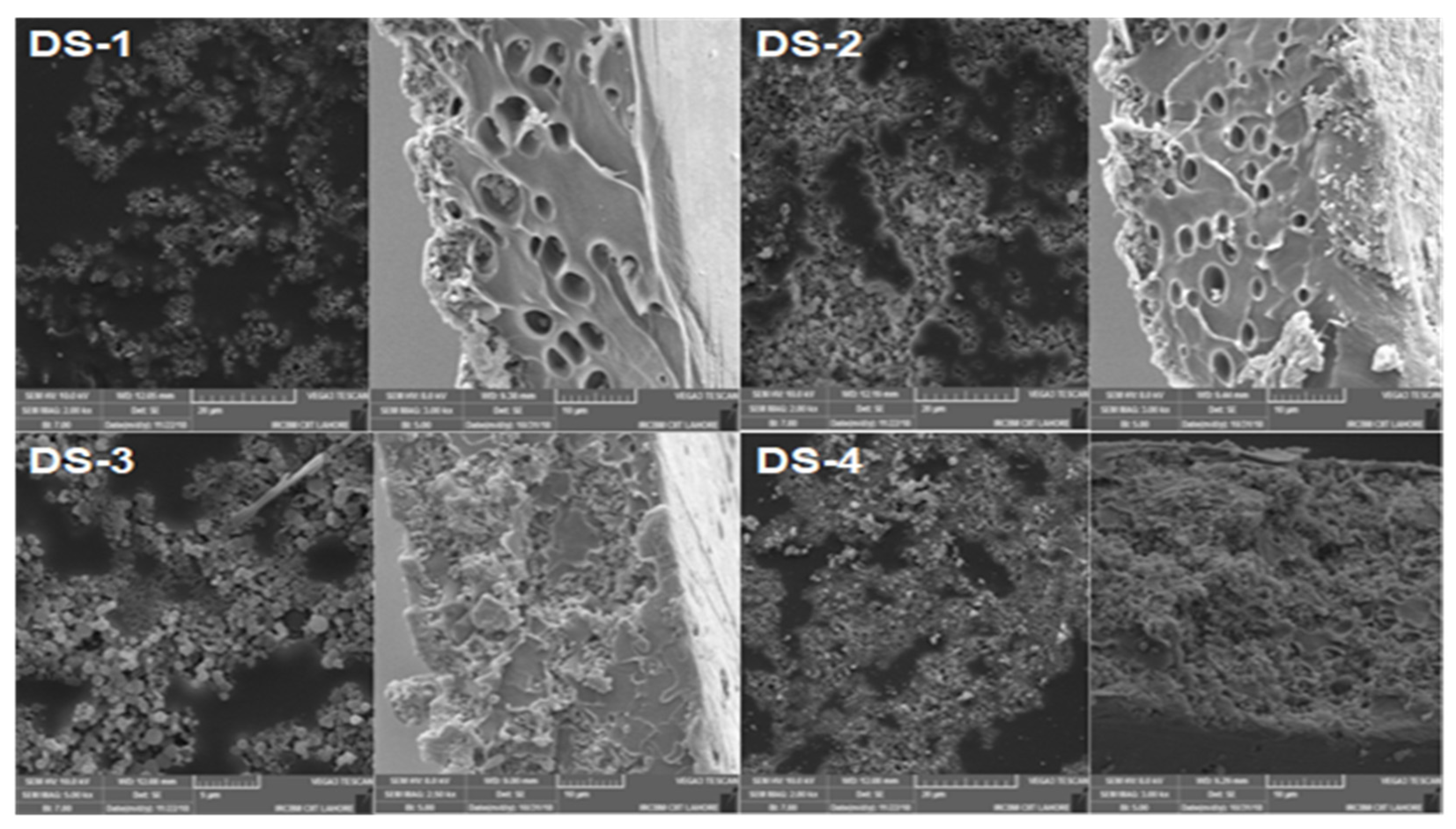 Engproc 12 00061 g001