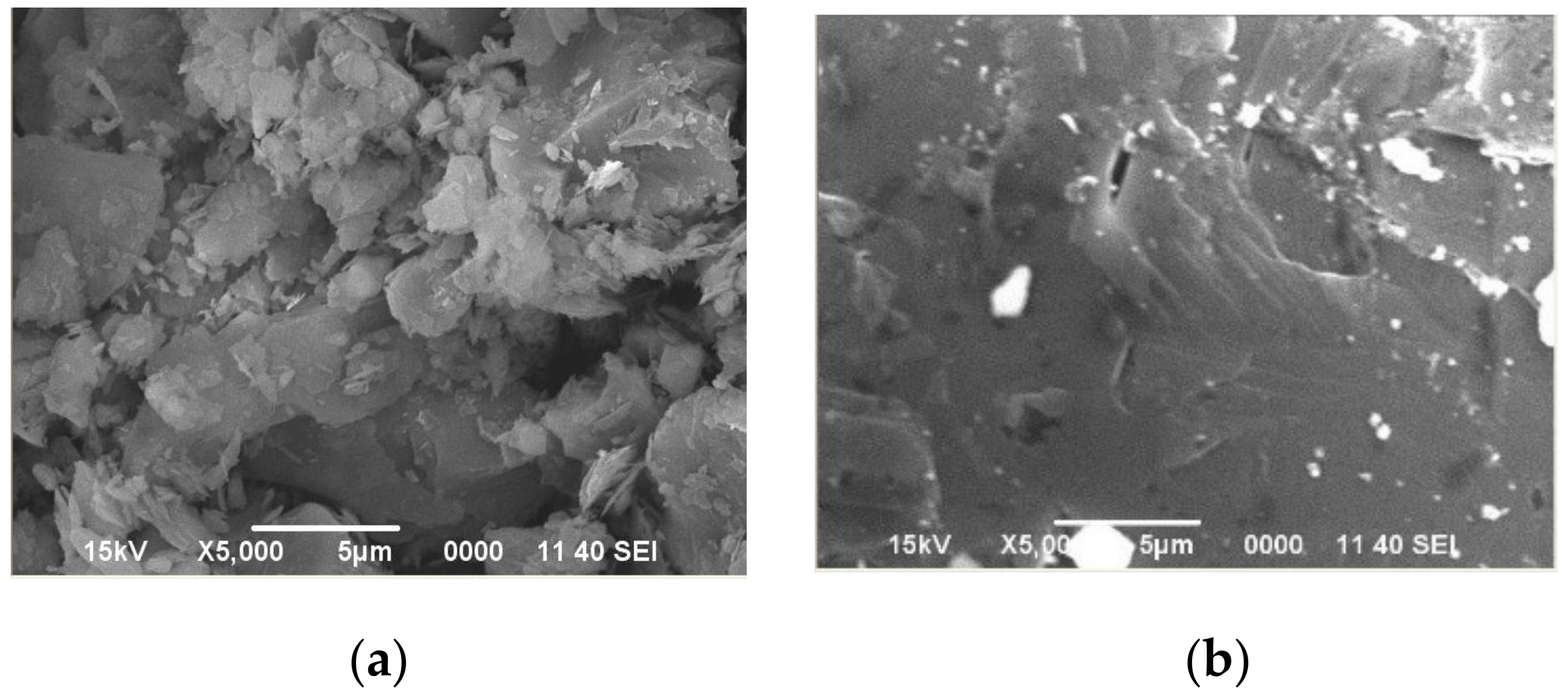 Engproc 12 00108 g001