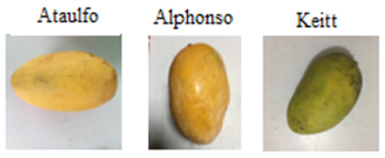 Engproc 12 00109 g001