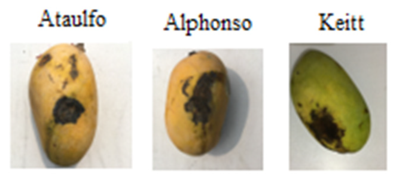 Engproc 12 00109 g002