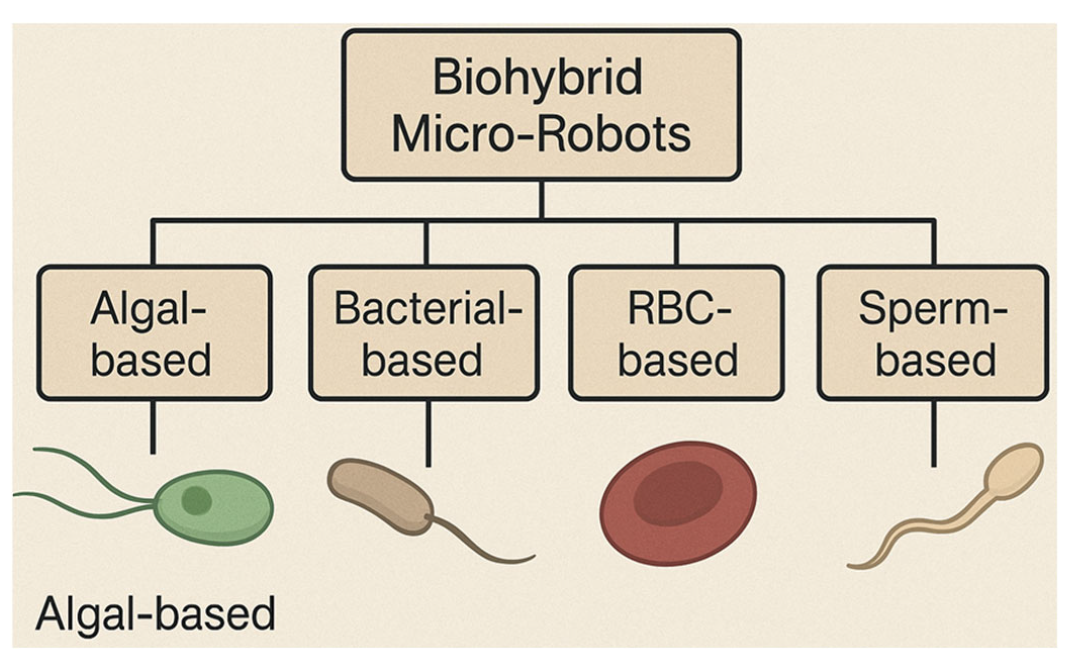 Engproc 120 00004 g002