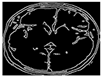 Engproc 124 00049 i007 Engproc 124 00049 i007