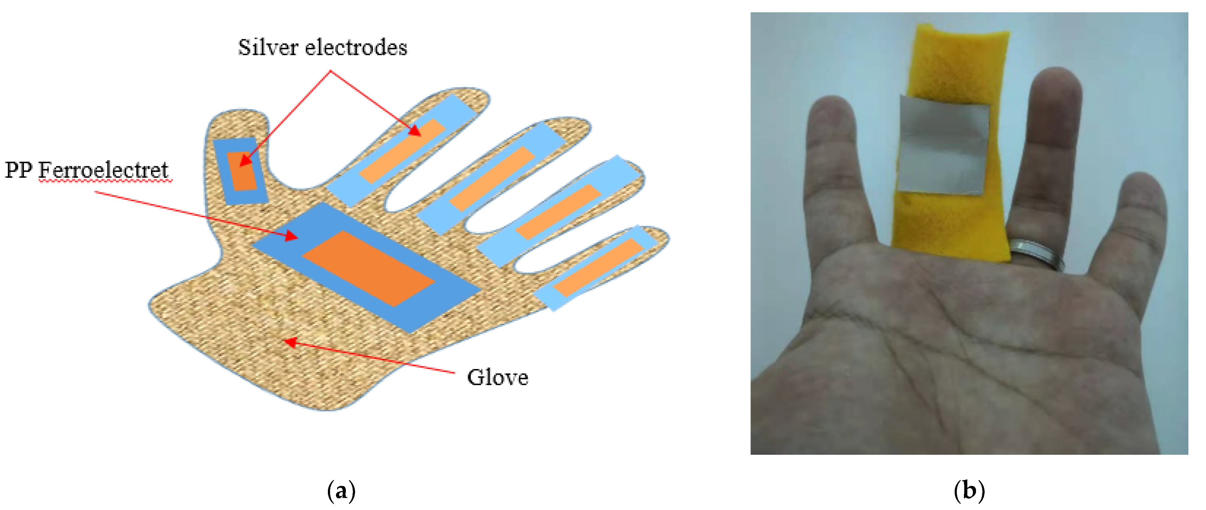 Engproc 15 00008 g002