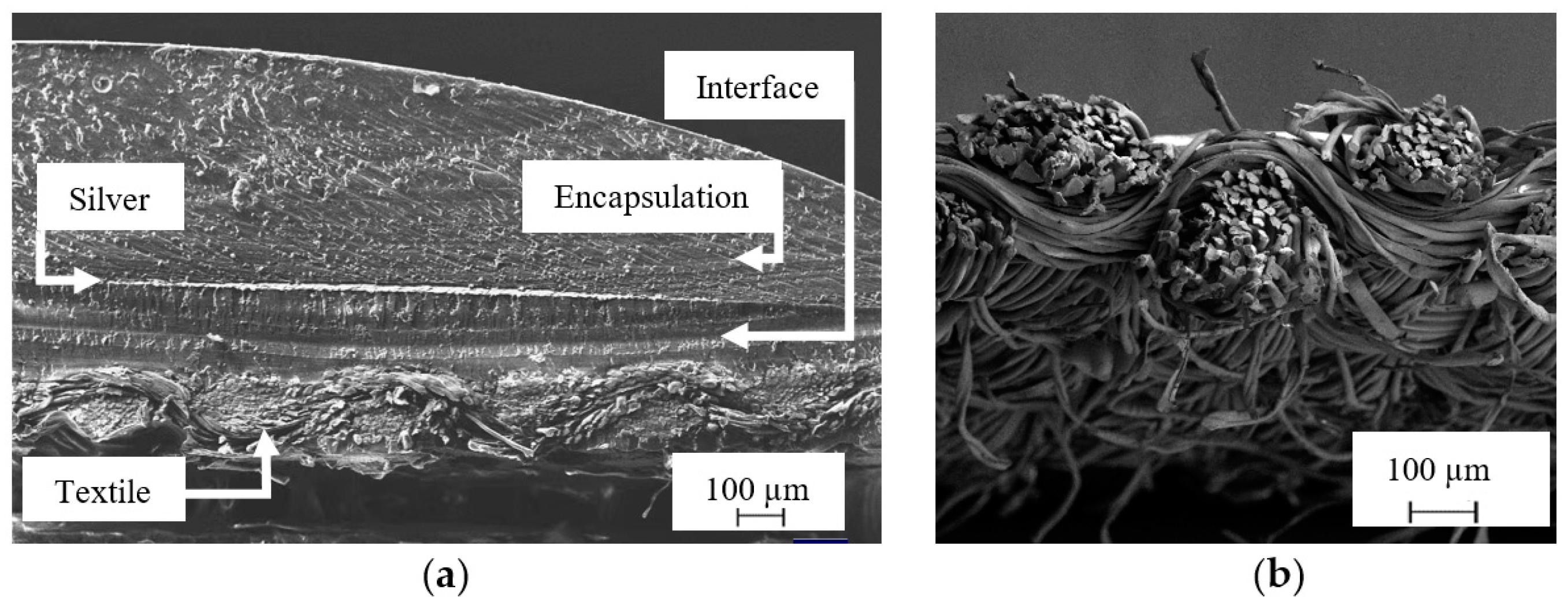 Engproc 15 00016 g005