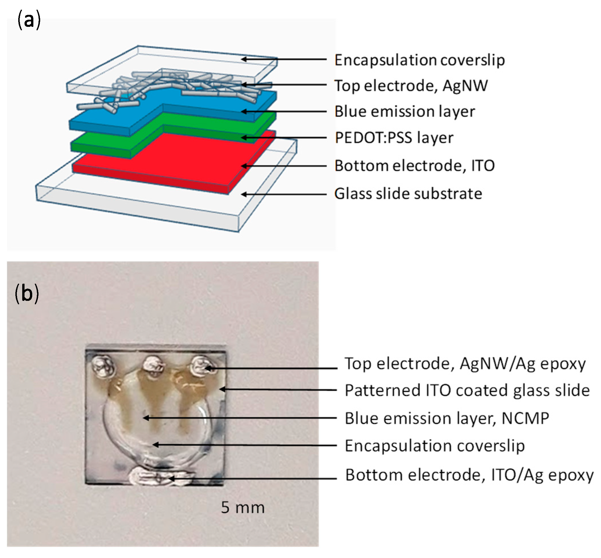 Engproc 15 00021 g001