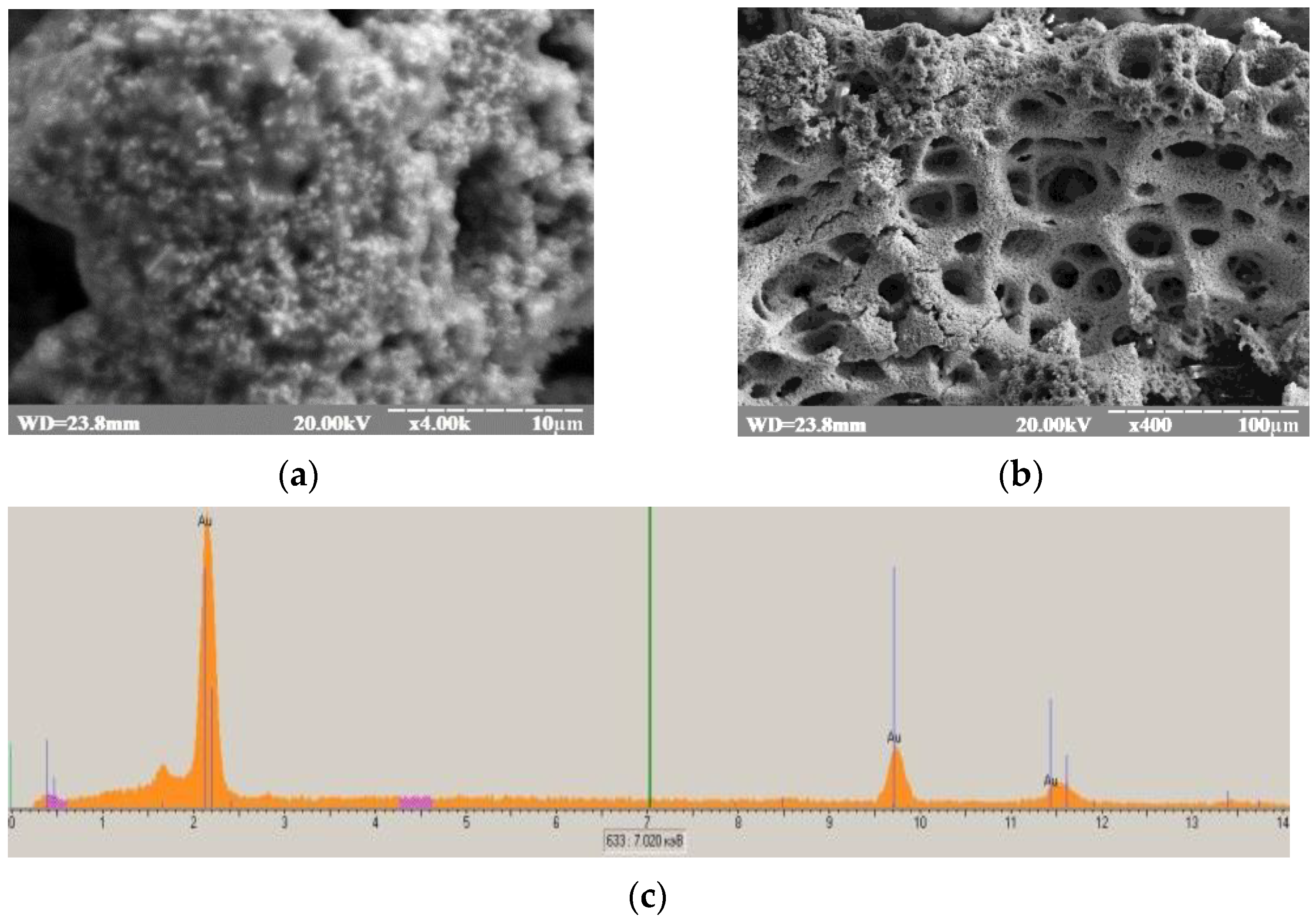 Engproc 16 00003 g002