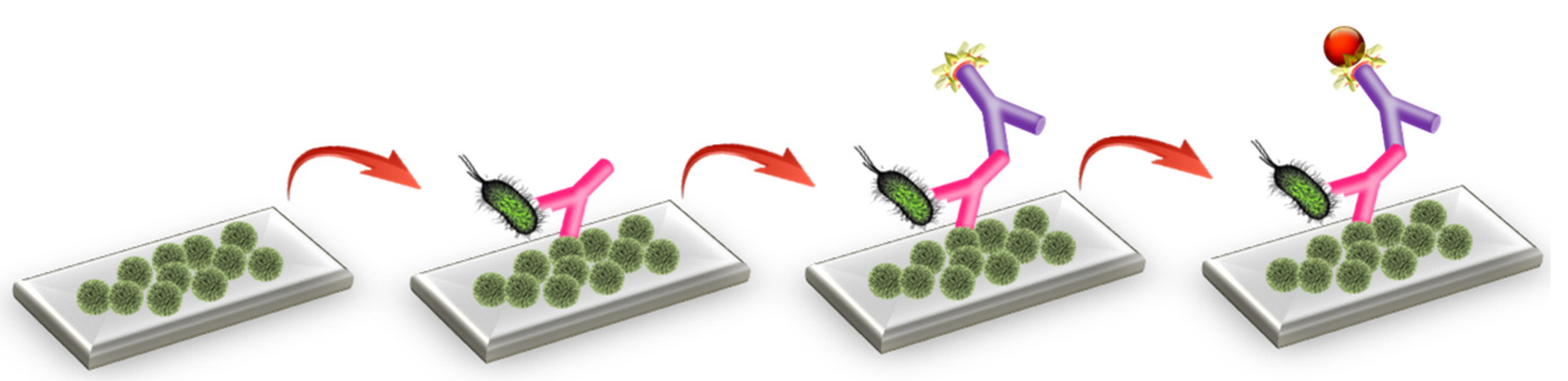 Engproc 16 00005 g001