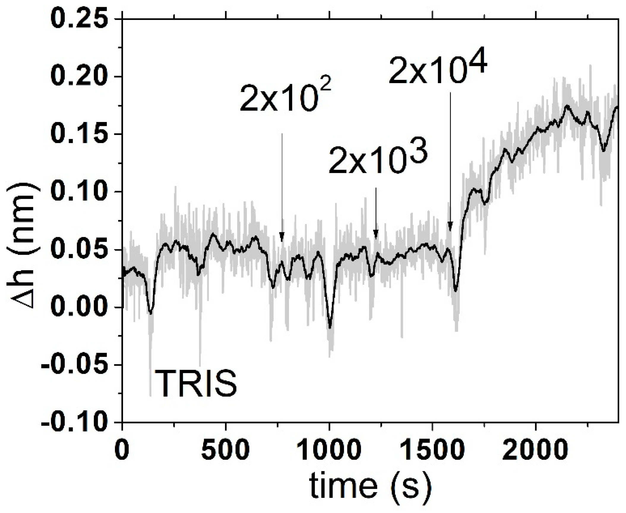 Engproc 16 00006 g004