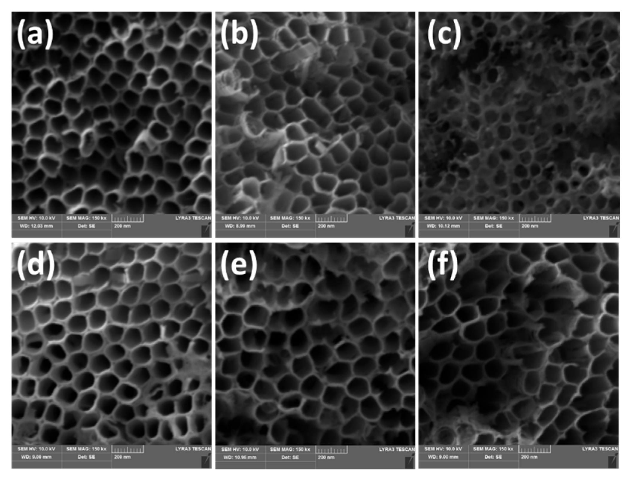 Engproc 19 00046 g002