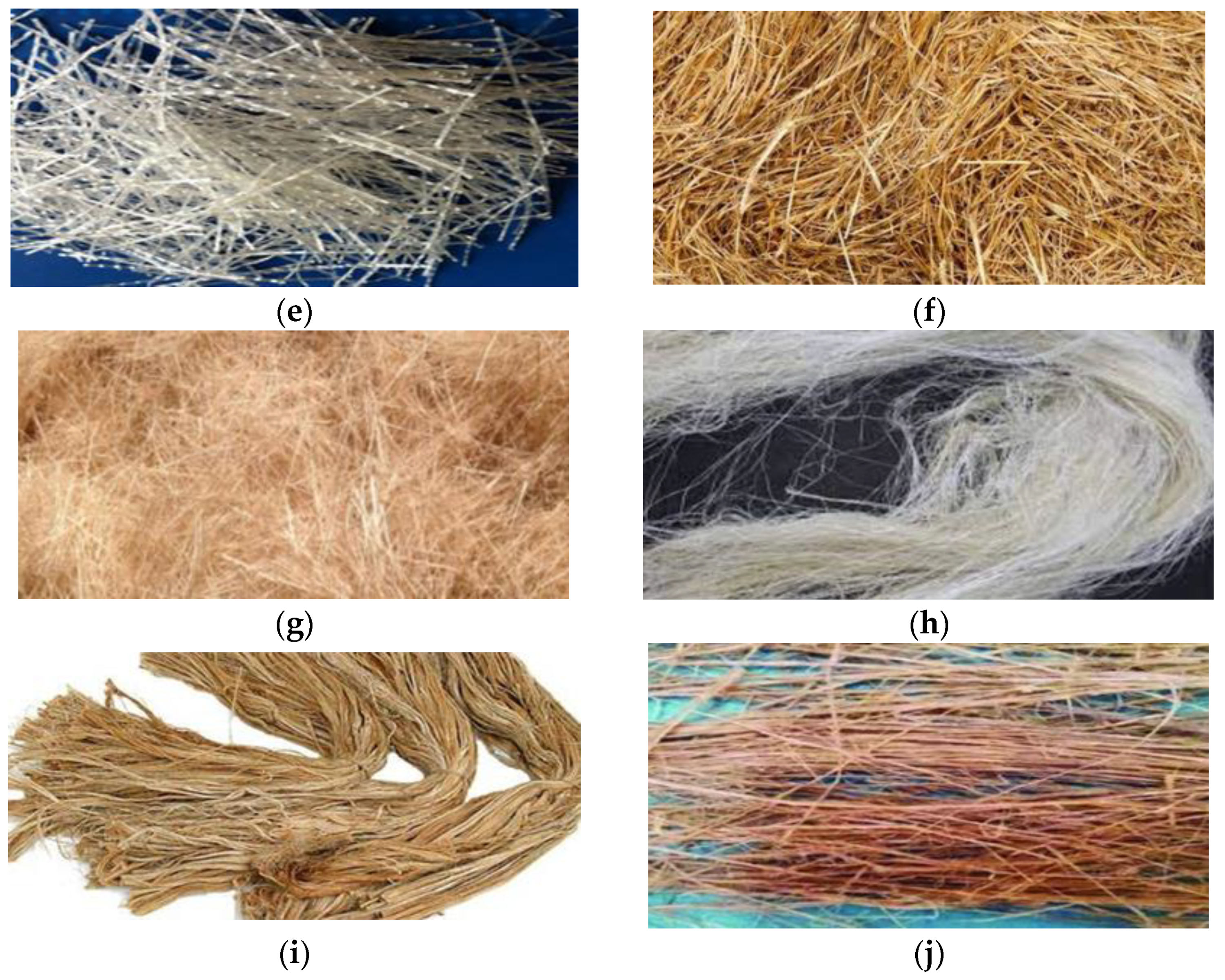 Engproc 22 00003 g001b