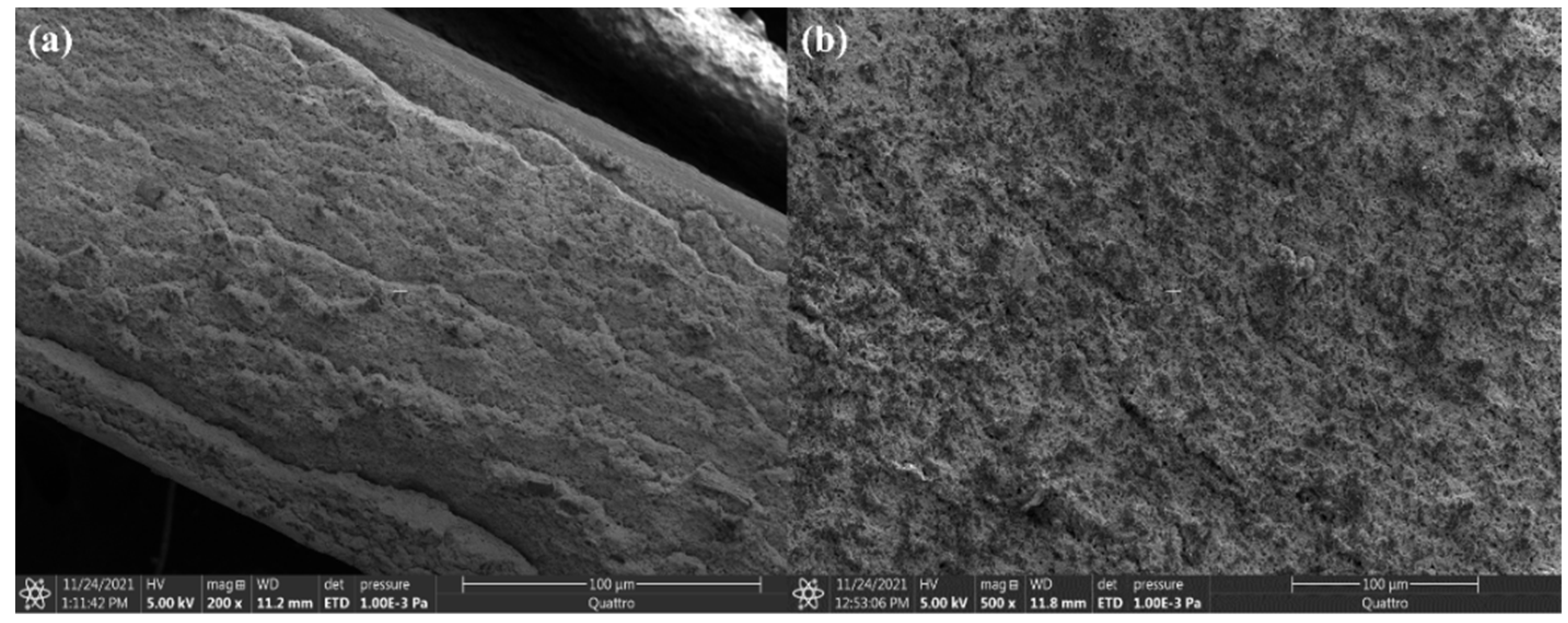 Engproc 23 00031 g001