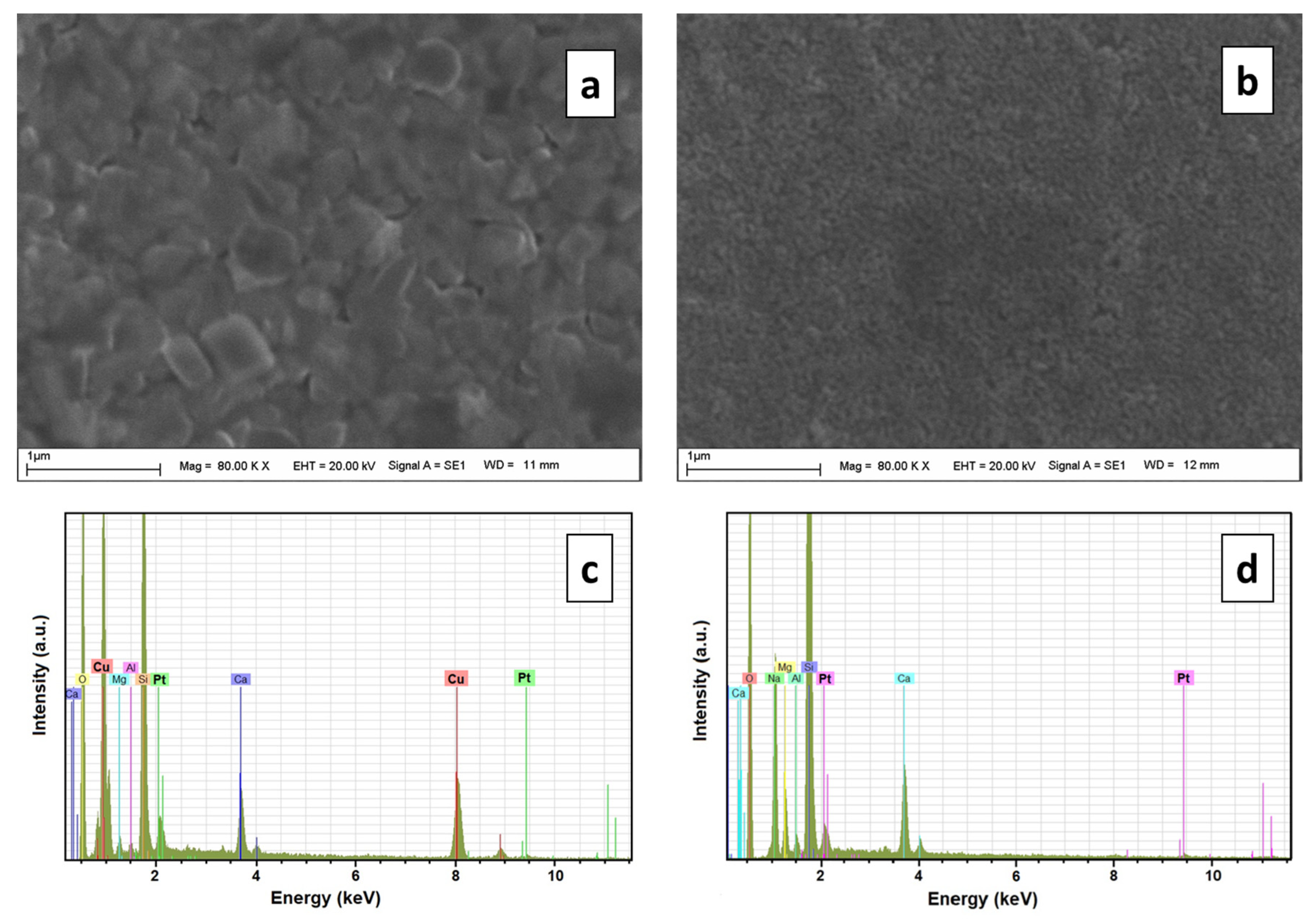 Engproc 27 00025 g002 Engproc 27 00025 g002